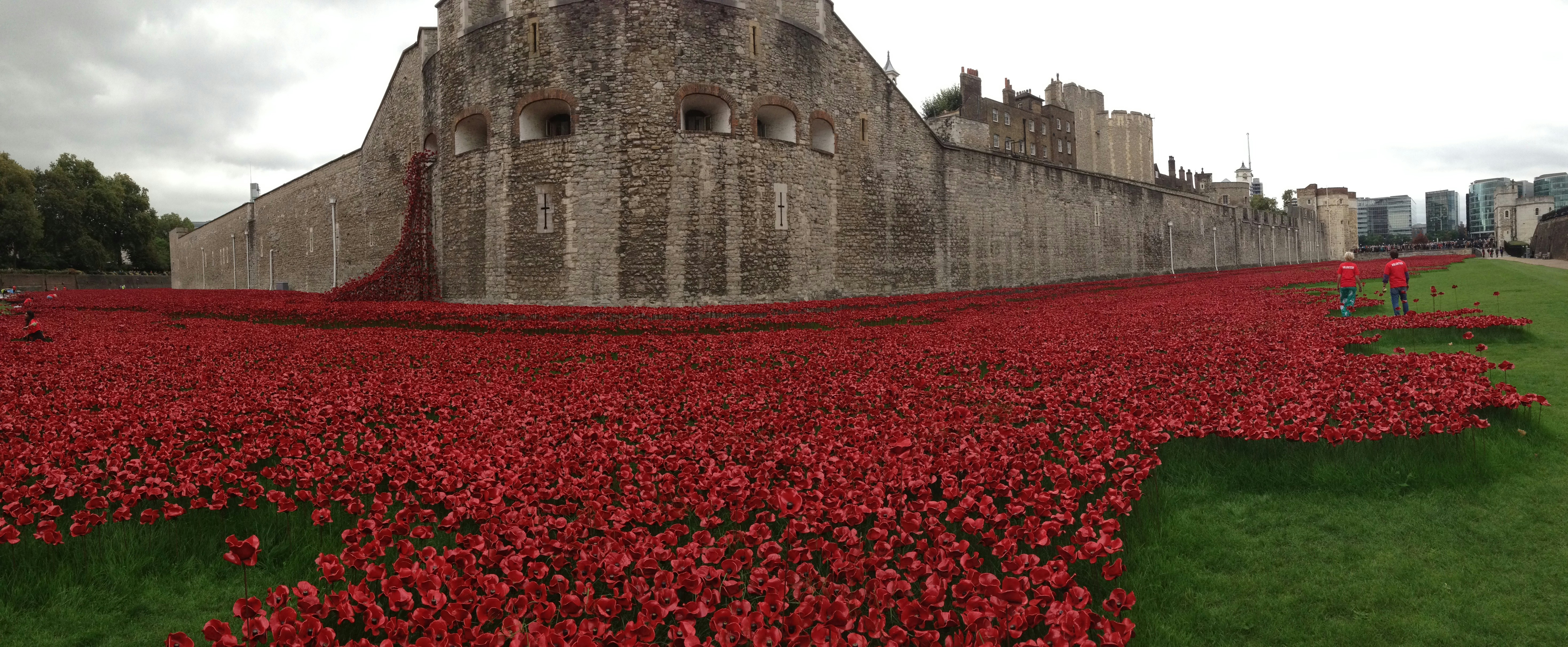 Free Unsplash photo from Charlie Seaman