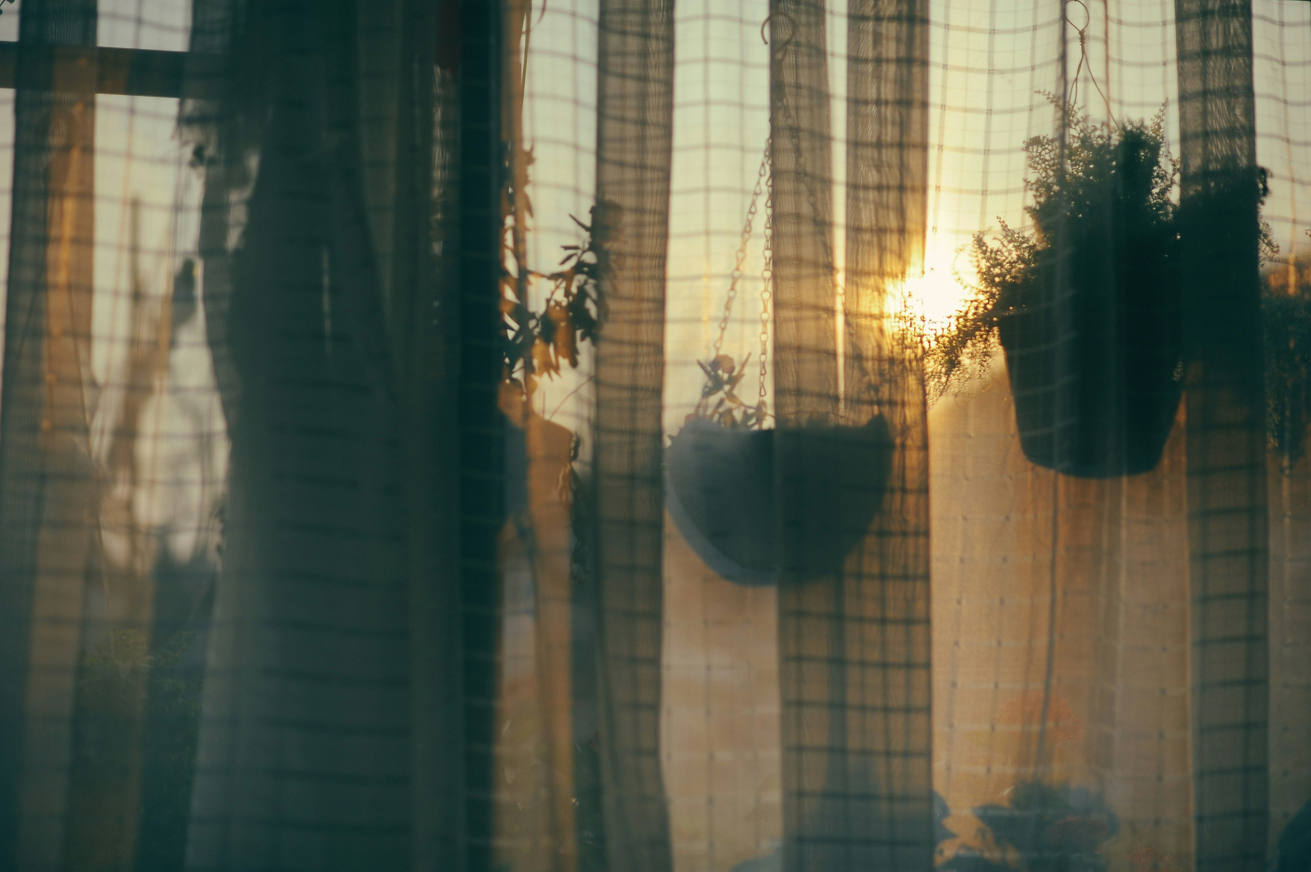 Free Unsplash photo from Duy Anh