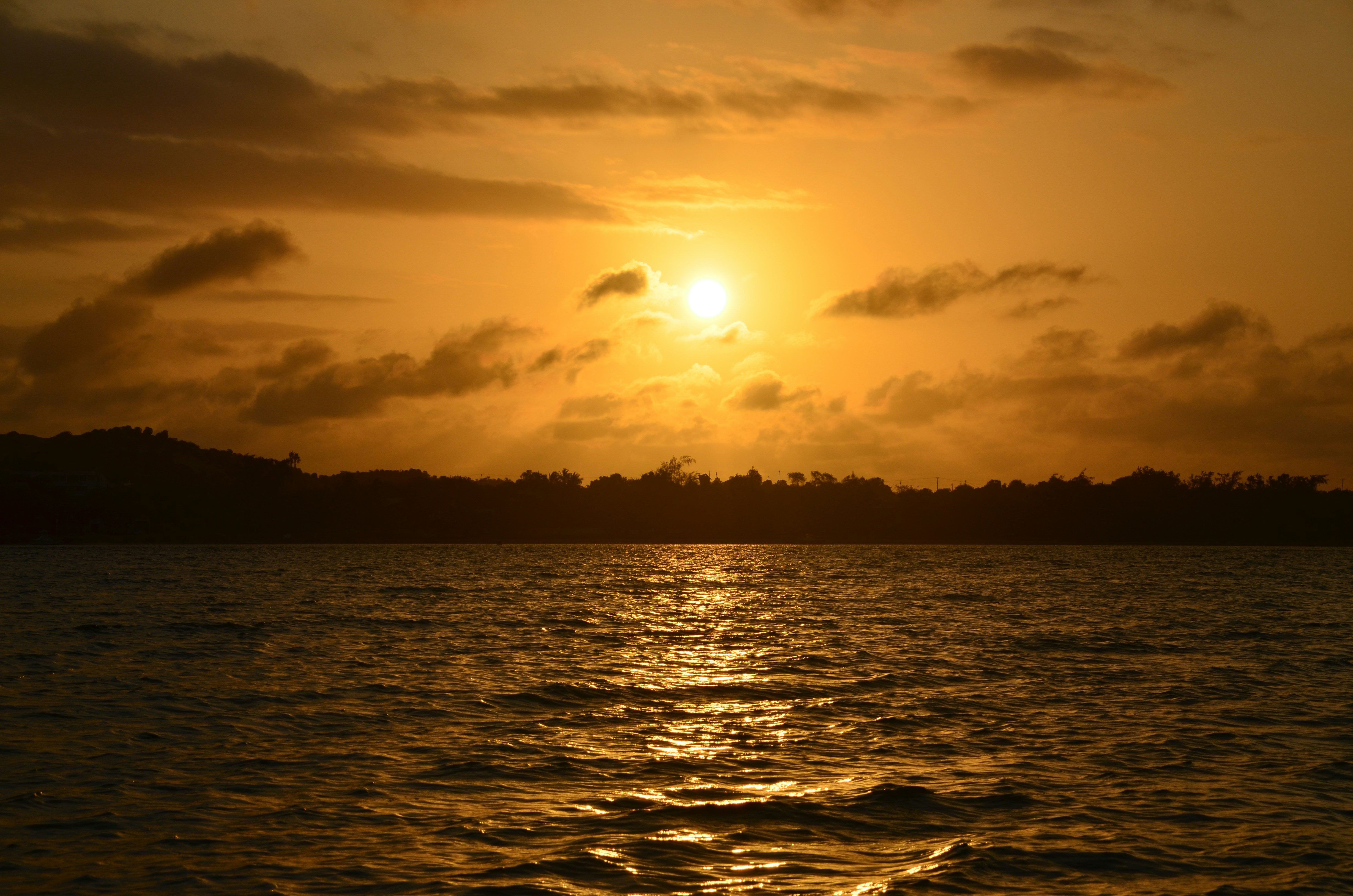 Free Unsplash photo from Farid Kipirash