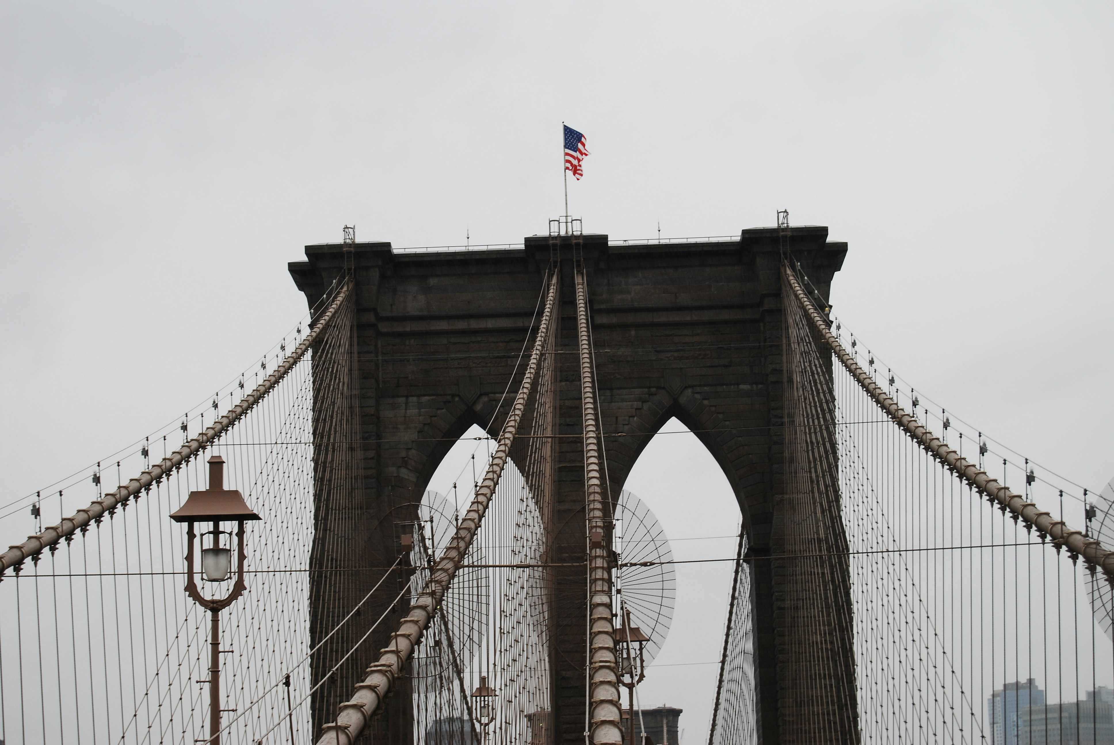 Free Unsplash photo from Gill Steens