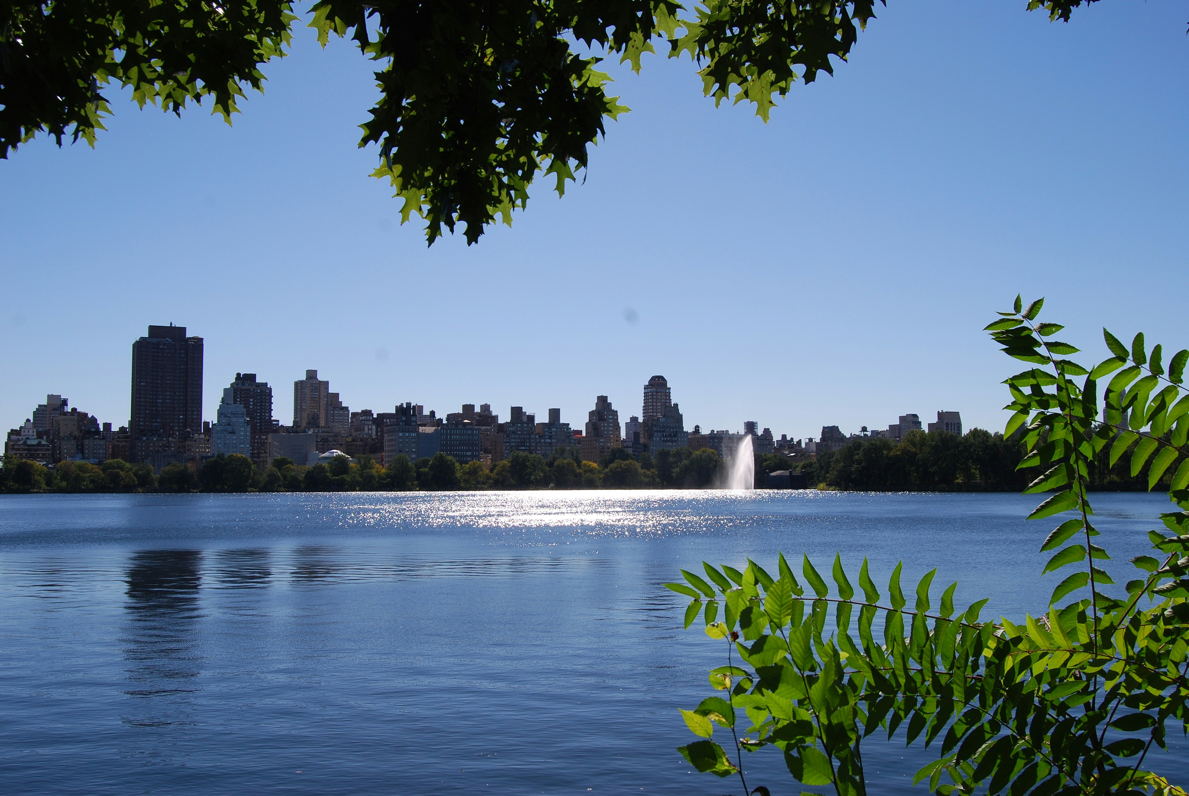 Free Unsplash photo from Gill Steens