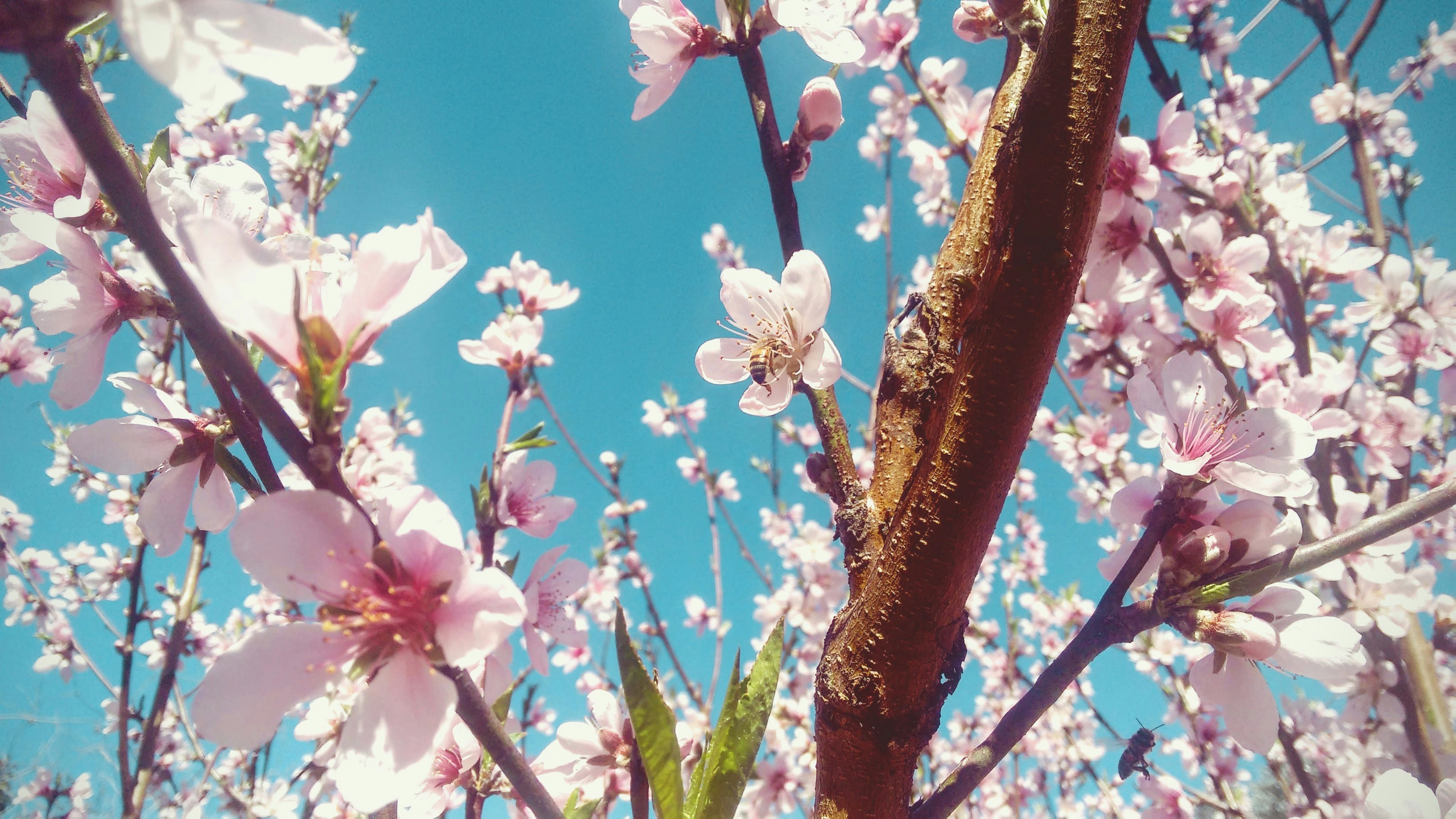 Free Unsplash photo from Ale Rovella