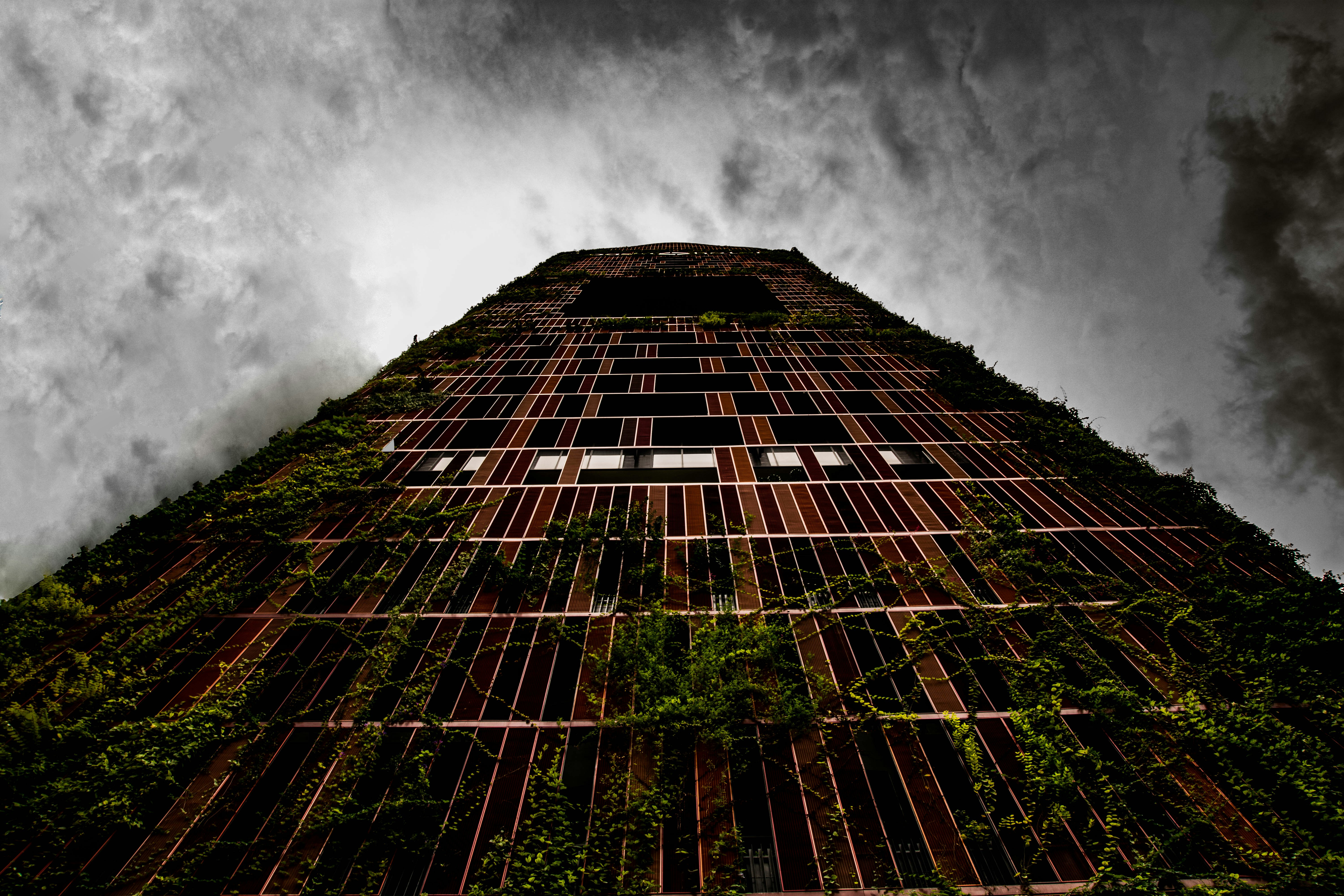 Free Unsplash photo from Han Wei