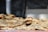 Close-up of golden, fluffy naan bread stacked on a rustic wooden board.