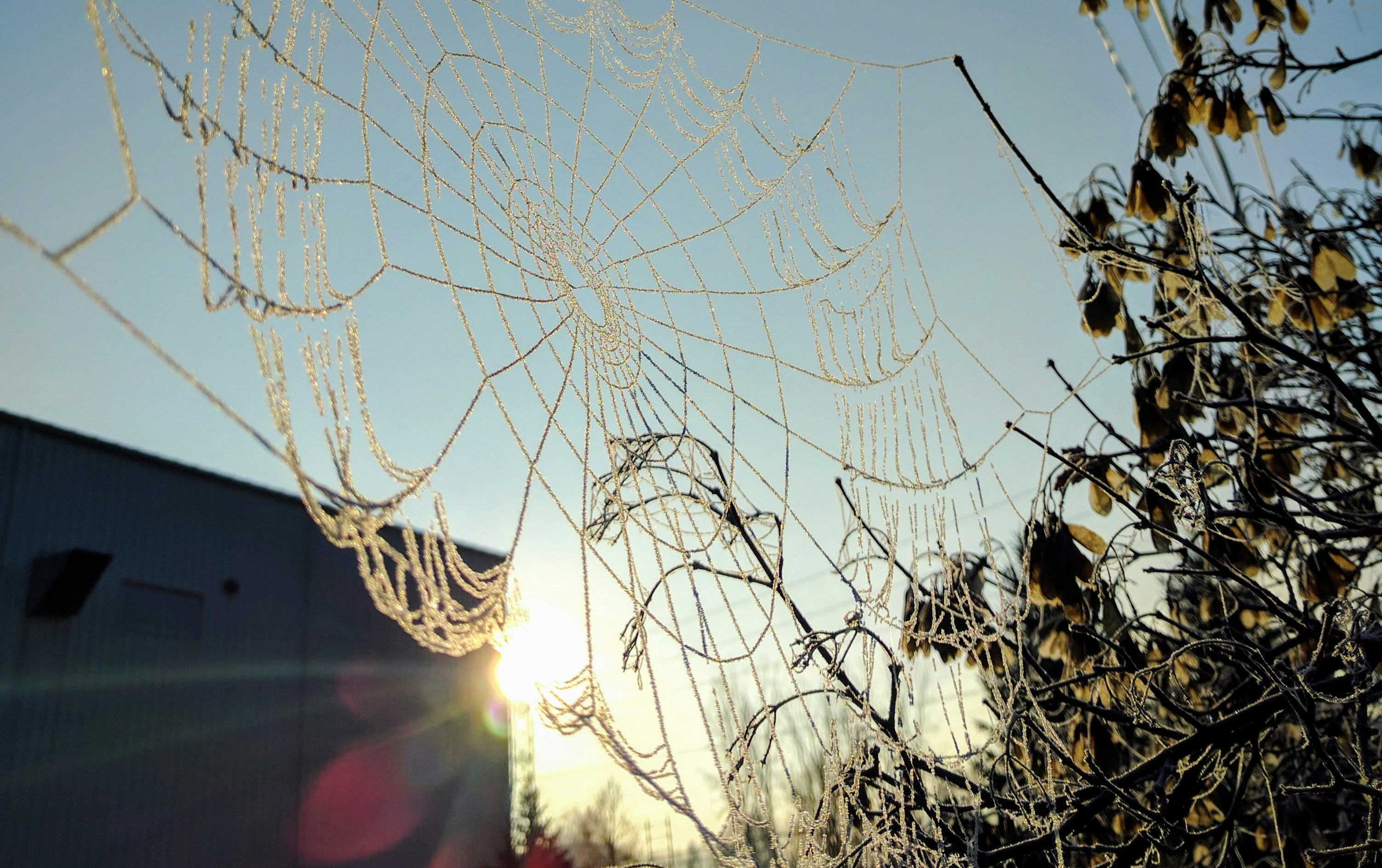 Free Unsplash photo from Clayton Holmes