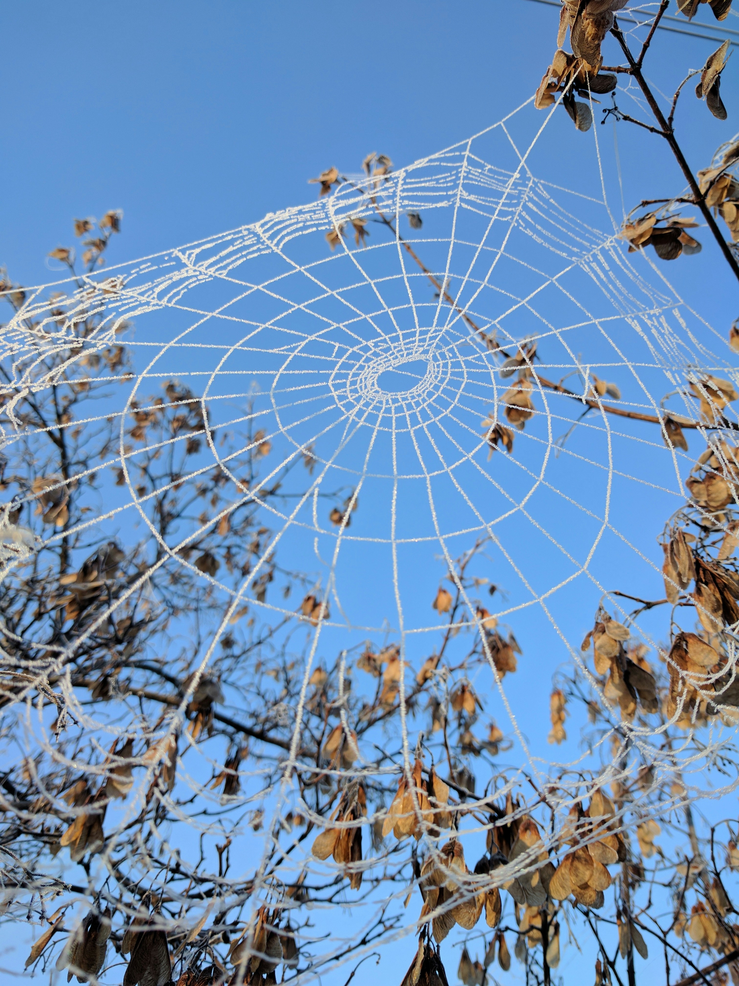 Free Unsplash photo from Clayton Holmes