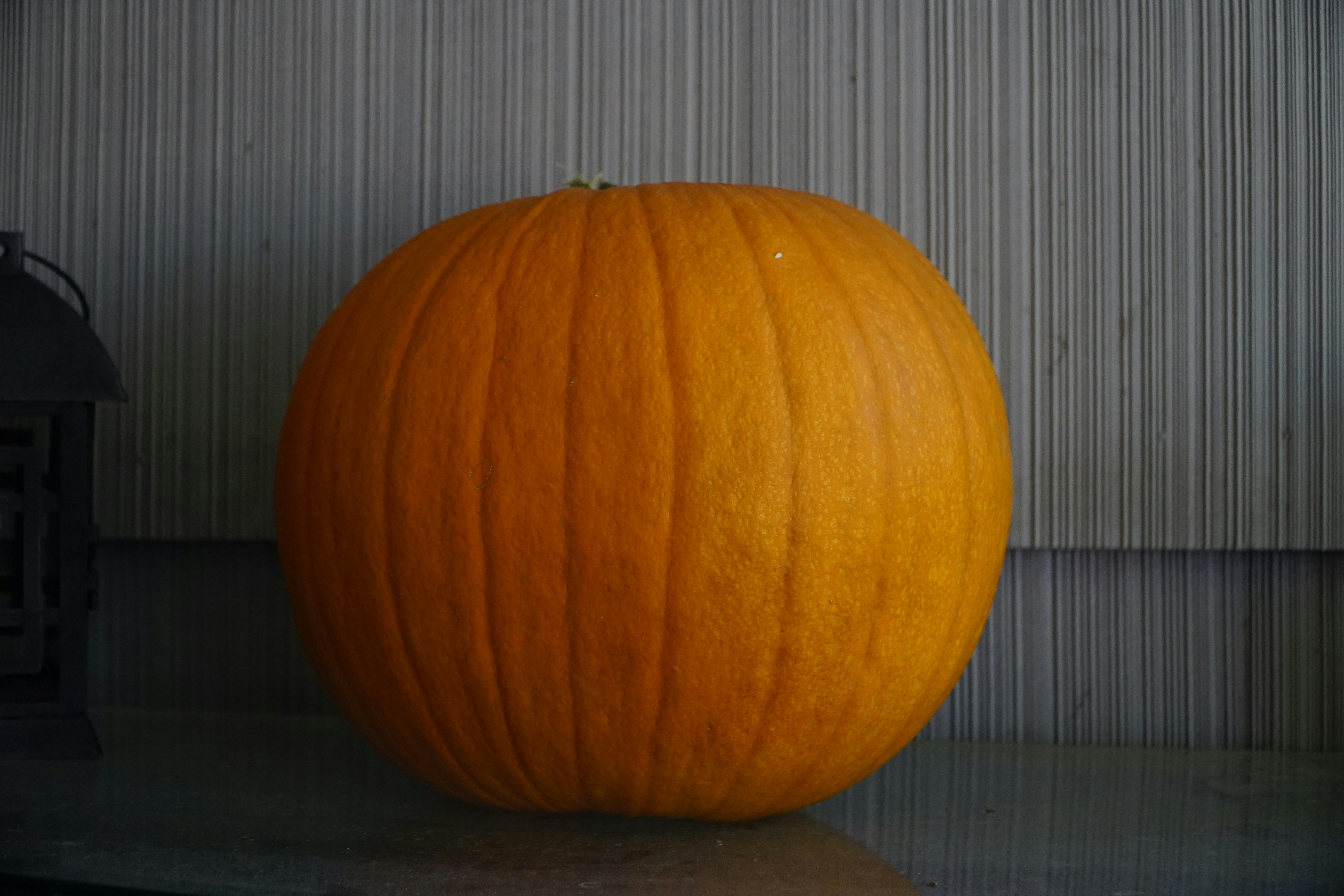 Free Unsplash photo from Erich Haubrich