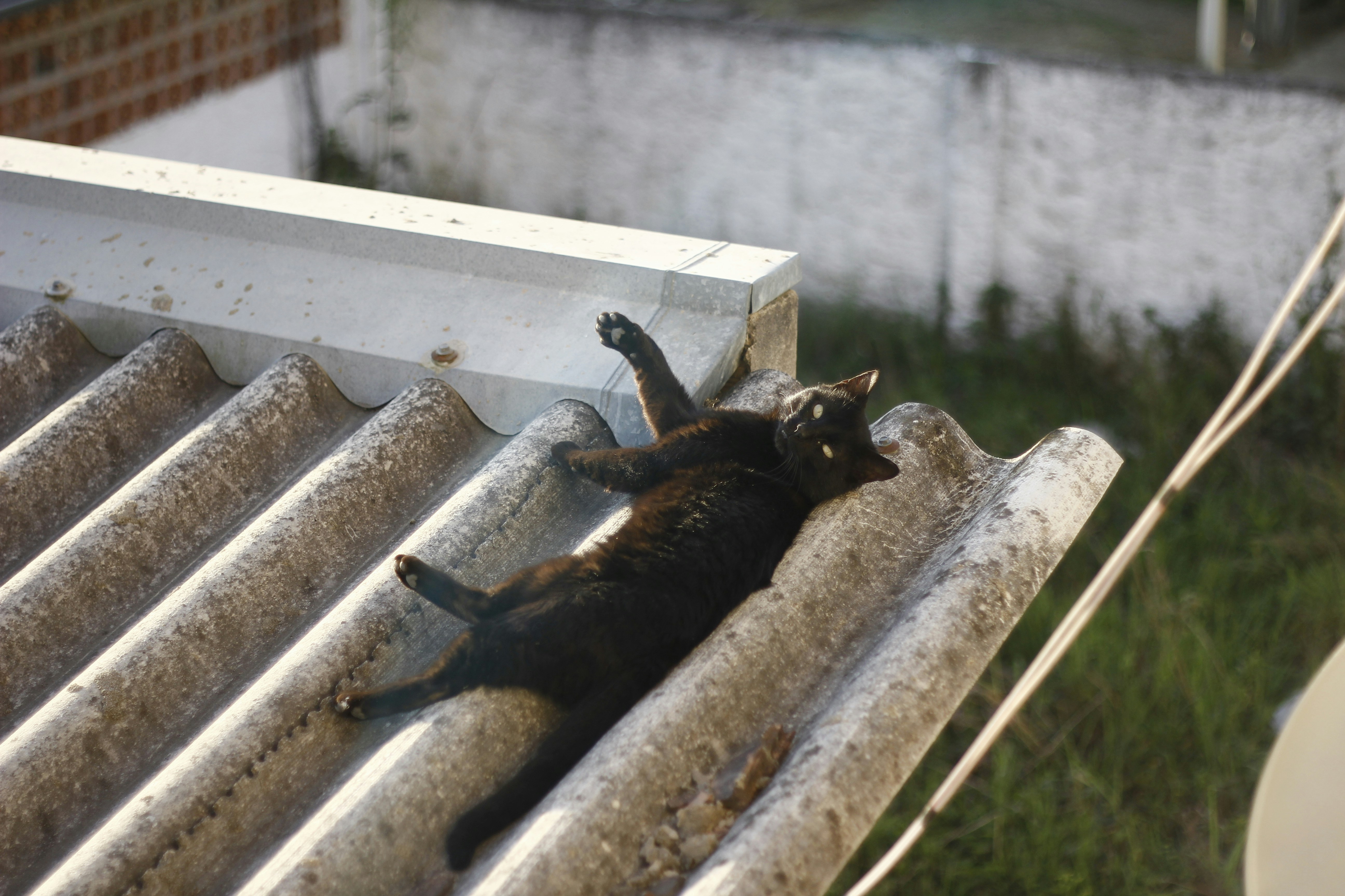 Free Unsplash photo from Tainan Astorga