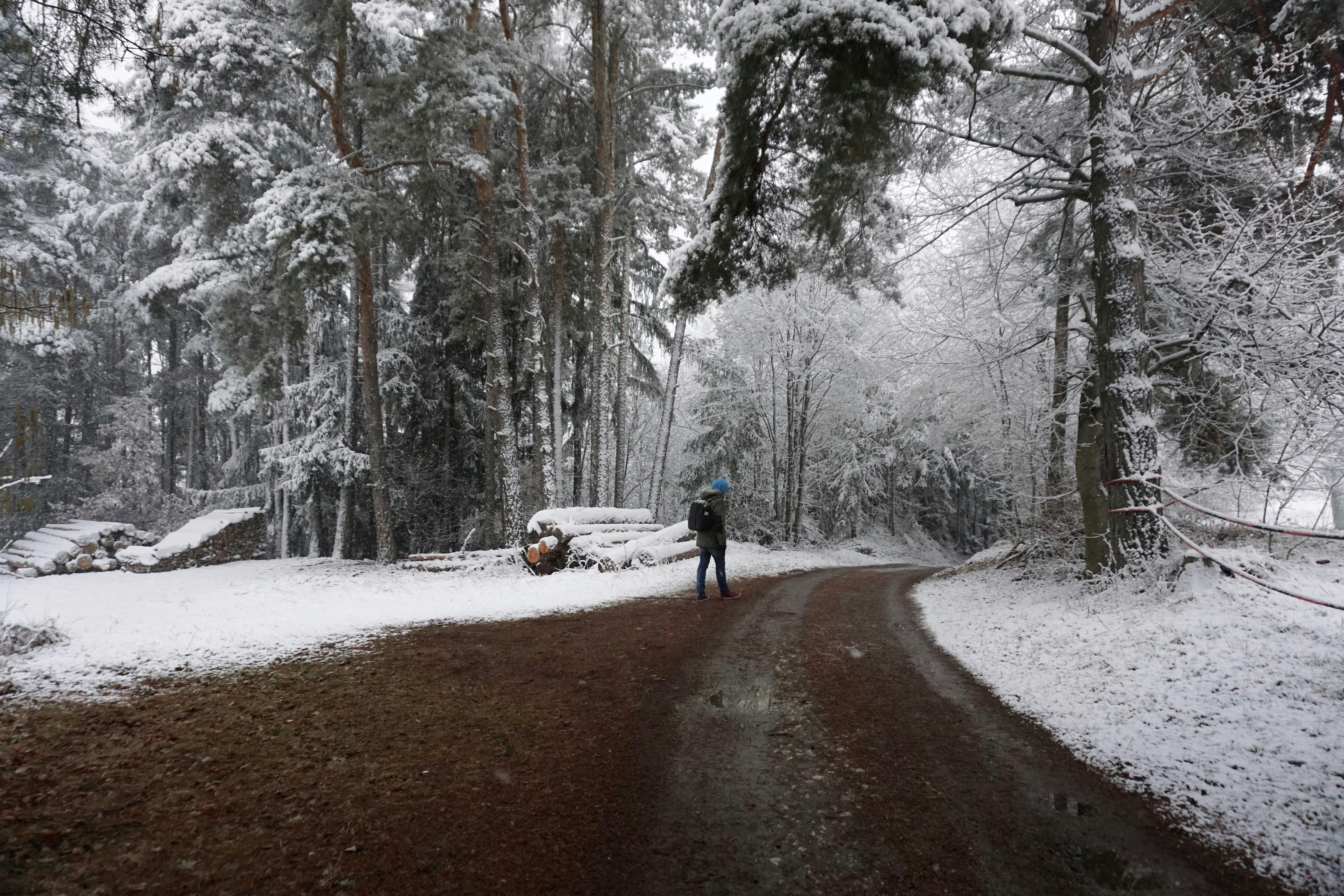 Free Unsplash photo from Florian Pircher