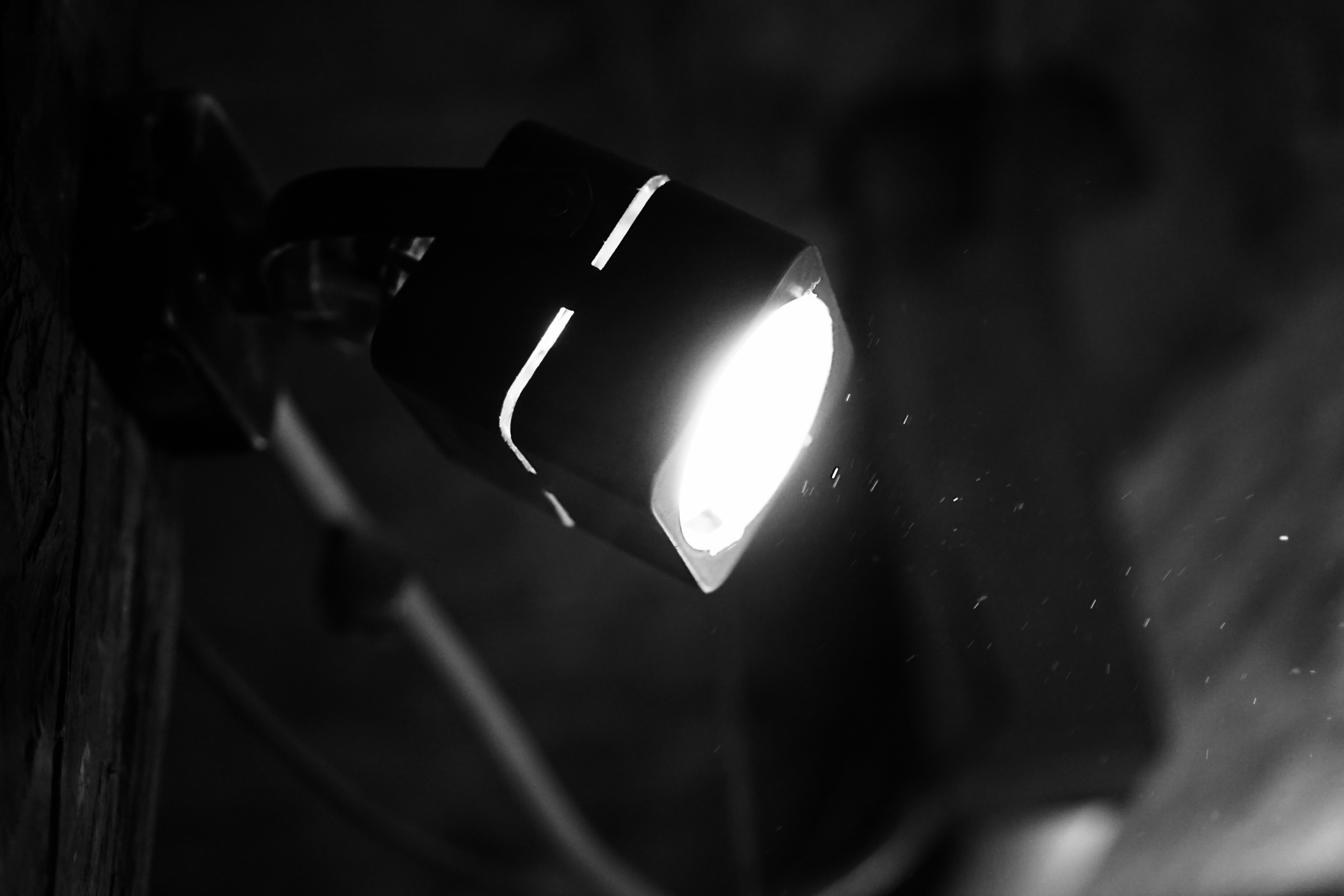 Free Unsplash photo from Florian Pircher