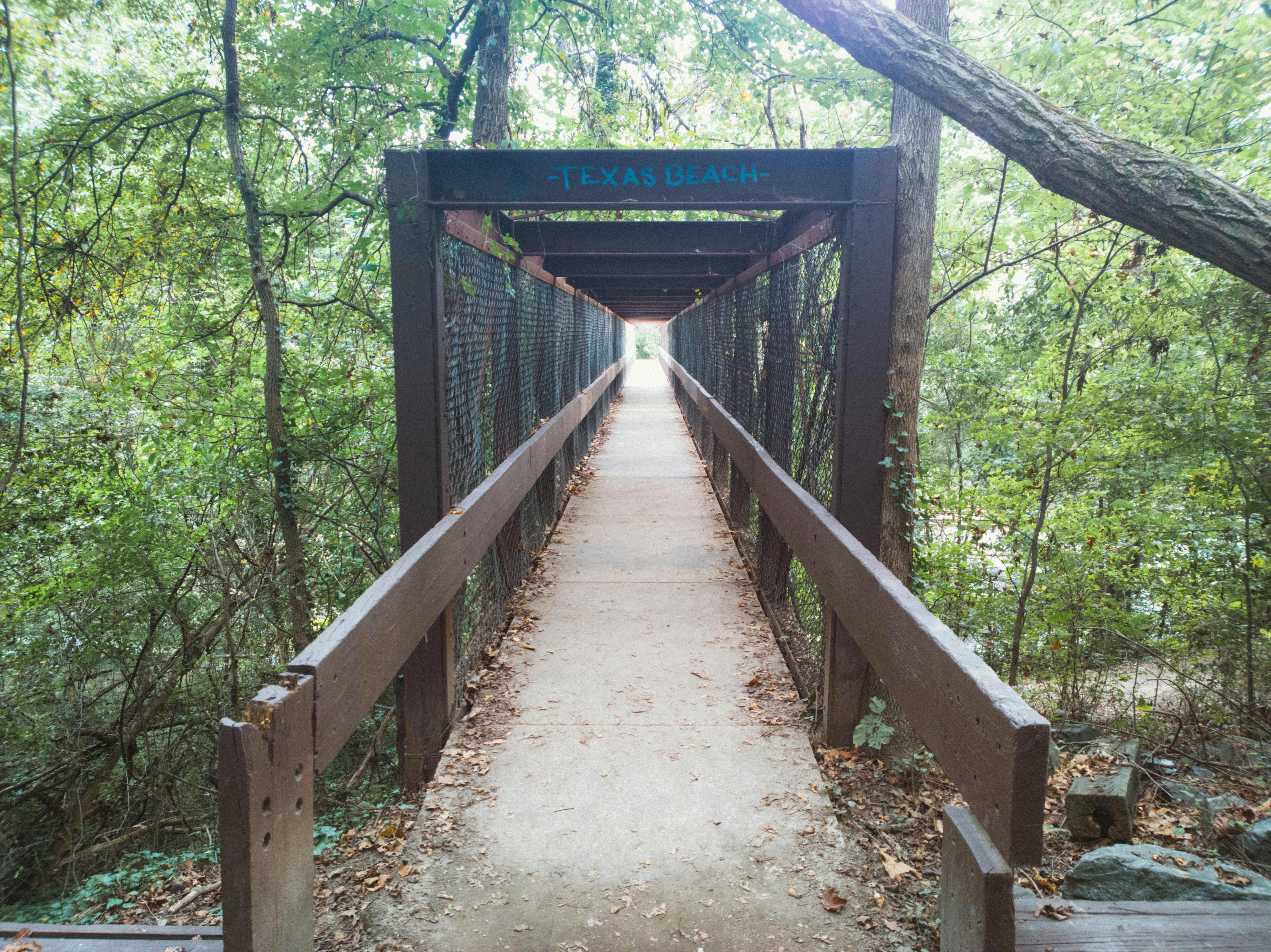 Free Unsplash photo from McKinsey Moore