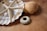 Various seashells and a starfish are arranged on a wooden surface. The collection includes a sea urchin shell, fan-shaped and conical shells, creating a natural, coastal display.