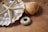 Various seashells and a starfish are arranged on a wooden surface. The collection includes a sea urchin shell, fan-shaped and conical shells, creating a natural, coastal display.