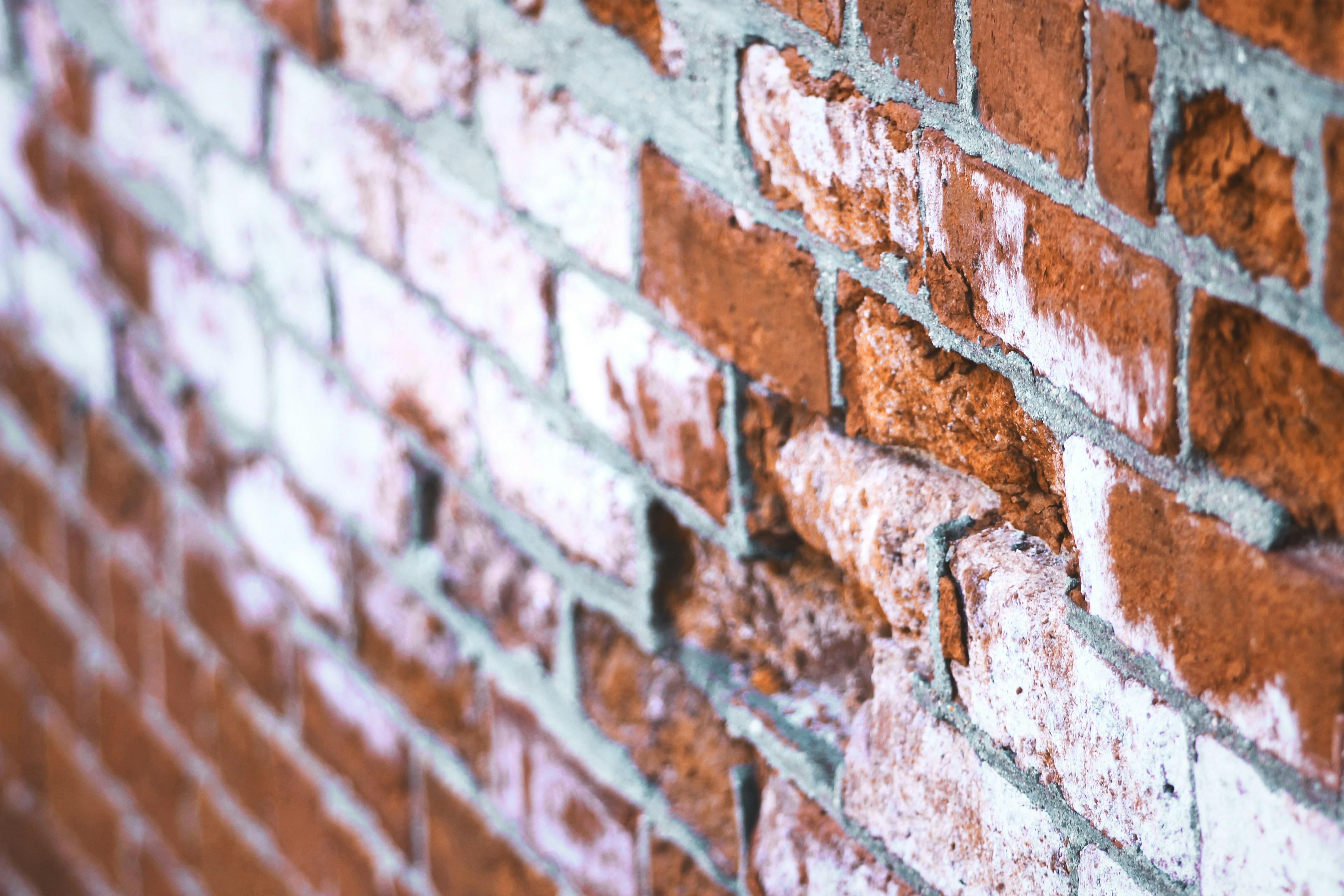 Free Unsplash photo from Andrew Walton