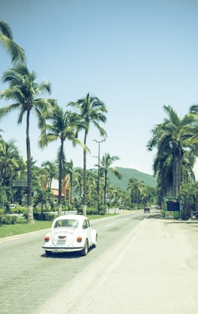 A vintage white Volkswagen Beetle is driving down a sunlit road lined with tall palm trees on both sides. The scene features clear skies and distant green hills, suggesting a tropical location.