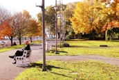 A serene park scene with seniors enjoying a sunny day, symbolizing community support.