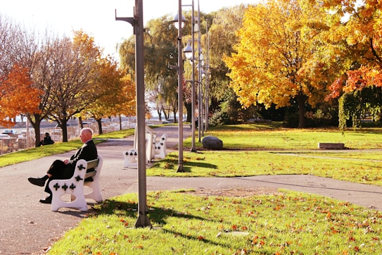 A serene park scene featuring an elderly person sitting on a white bench along a paved path. The park is adorned with trees showing vibrant autumn foliage in shades of yellow, orange, and red. Sunlight casts warm tones across the grass and path, creating a peaceful atmosphere.