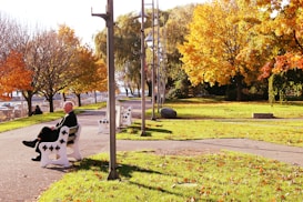 A serene park scene featuring an elderly person sitting on a white bench along a paved path. The park is adorned with trees showing vibrant autumn foliage in shades of yellow, orange, and red. Sunlight casts warm tones across the grass and path, creating a peaceful atmosphere.