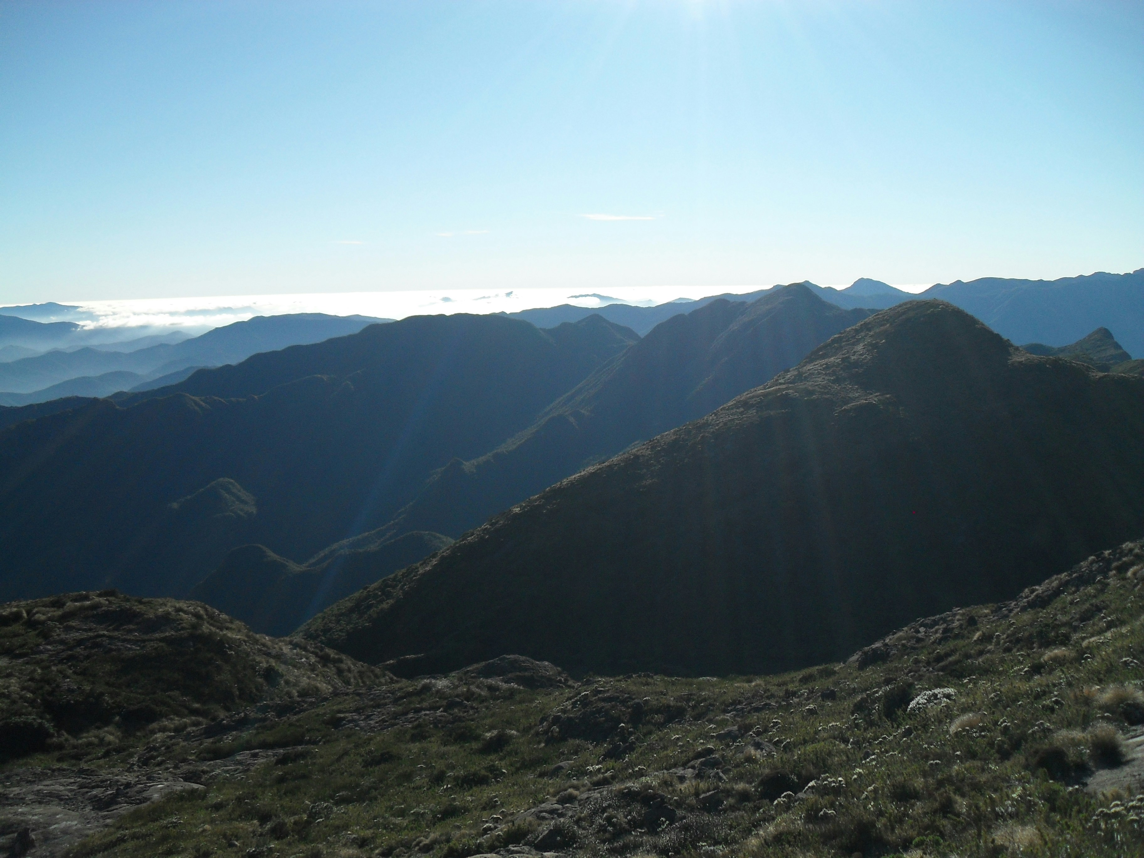 Free Unsplash photo from FERNANDO LATINI