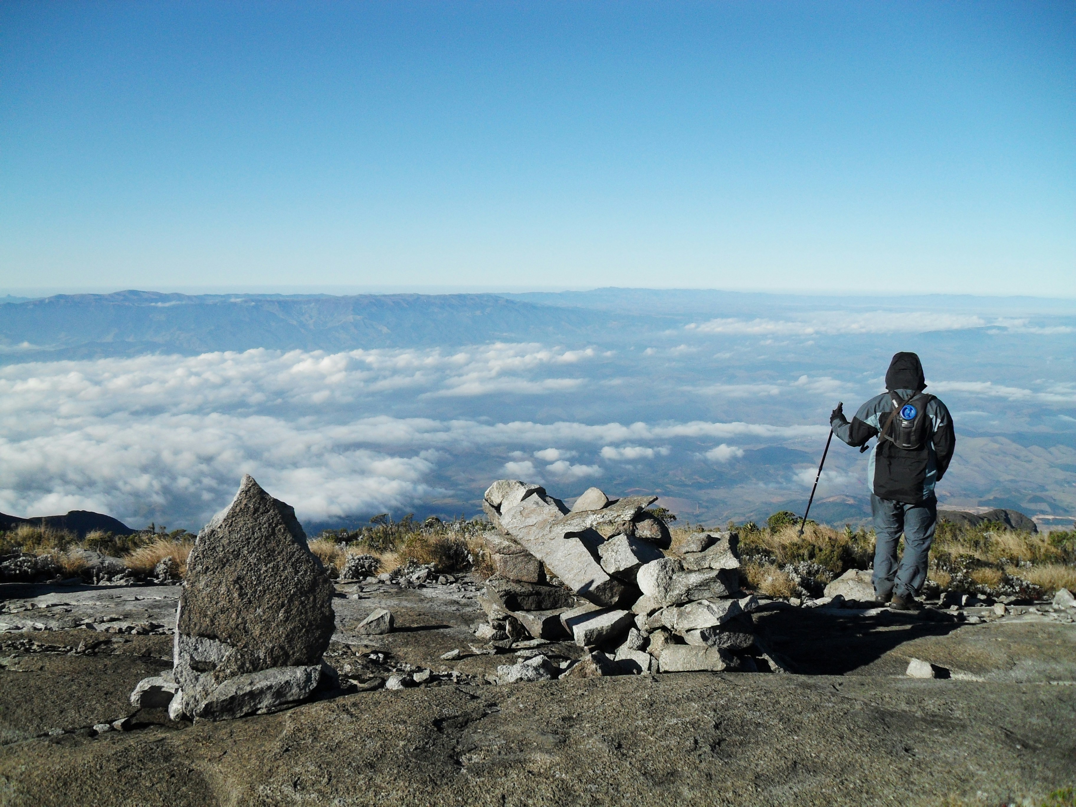 Free Unsplash photo from FERNANDO LATINI