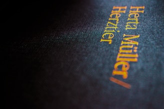 Close-up of the first book cover by Raik with distinct typography and earthy tones