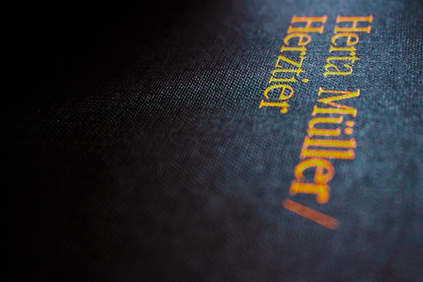 Close-up of the first book cover by Raik with distinct typography and earthy tones