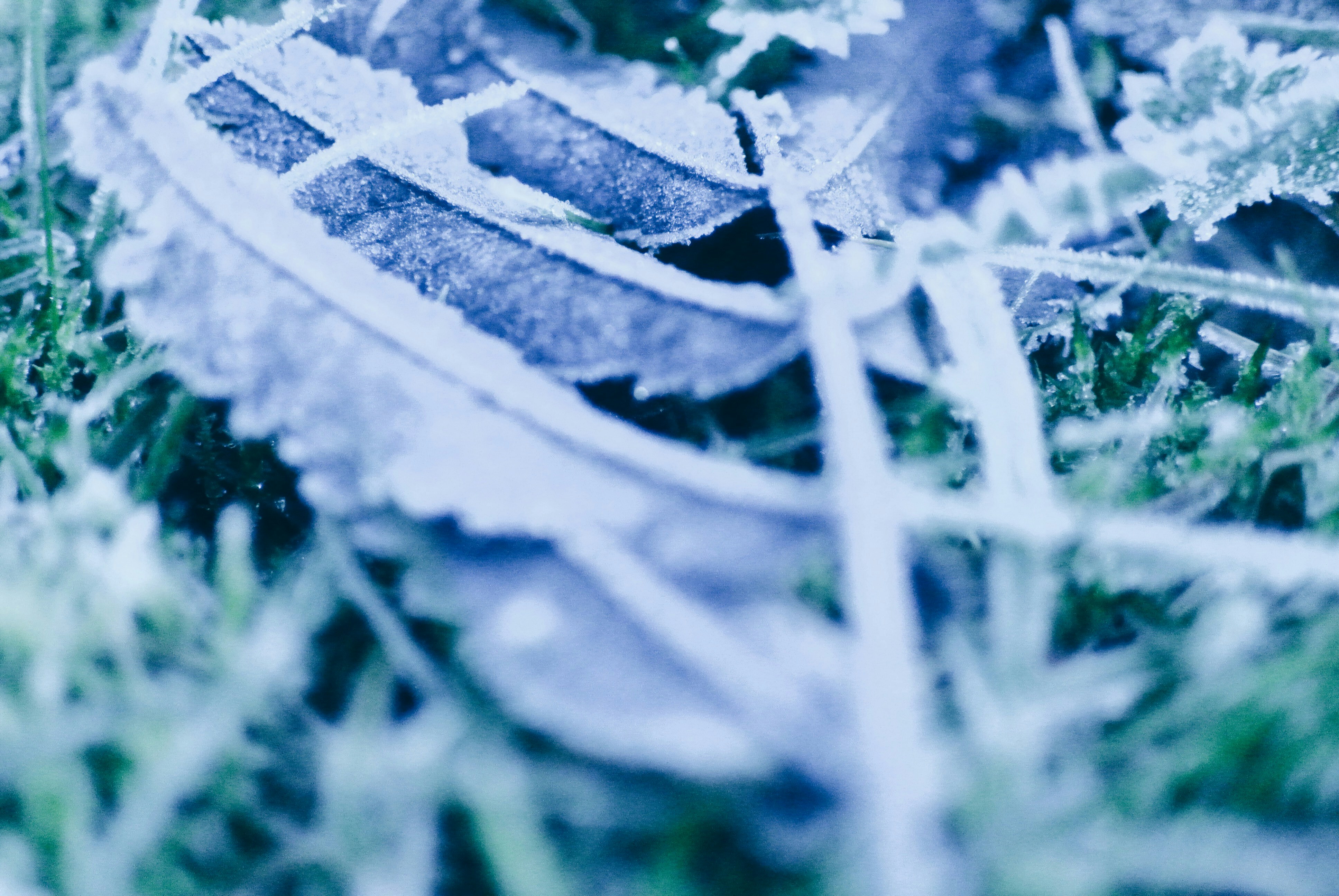 Free Unsplash photo from Ovidiu Spatacian-Tarnu