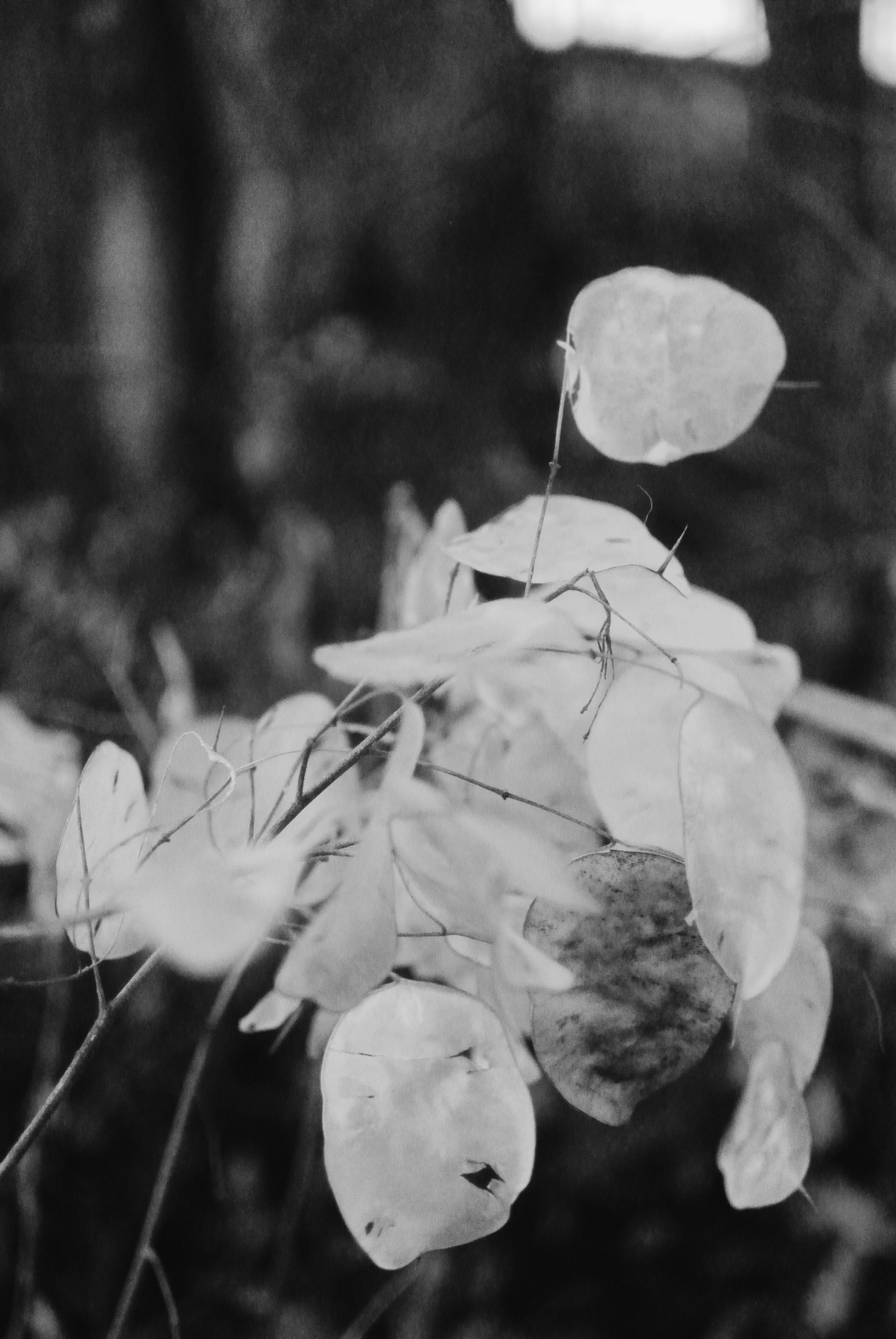 Free Unsplash photo from Ovidiu Spatacian-Tarnu