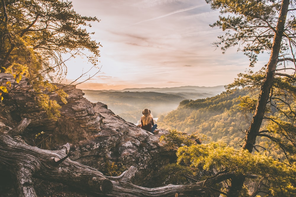 person standing on cliff near tree on mountain