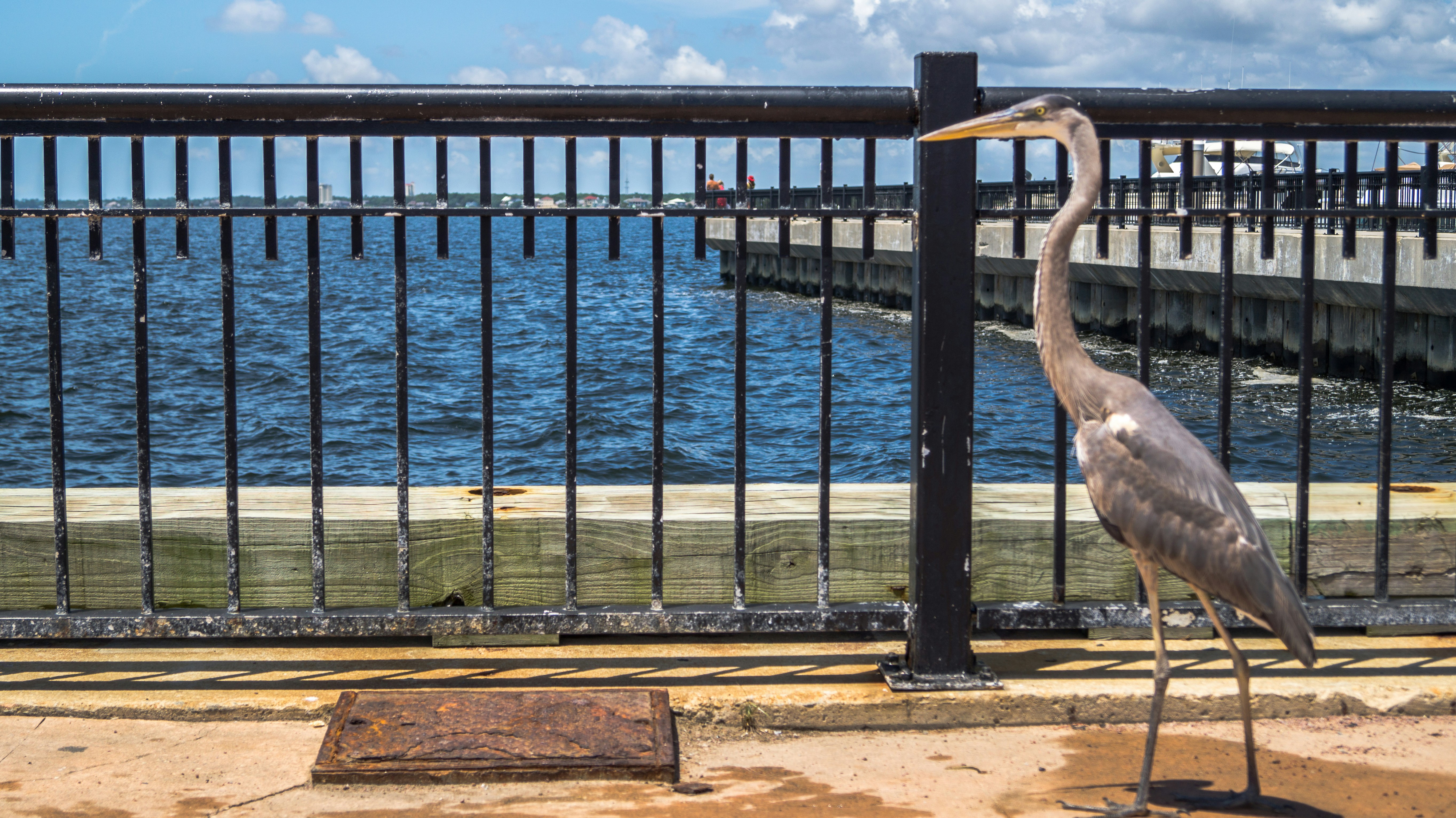 Free Unsplash photo from Chris Smith