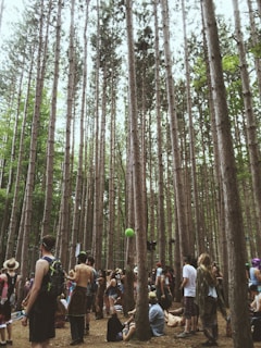 A serene gathering of people in a lush Minas Gerais forest during the Encontro Mineiro de Micael.