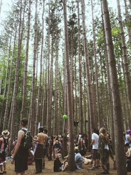 A serene gathering of people in a lush Minas Gerais forest during the Encontro Mineiro de Micael.