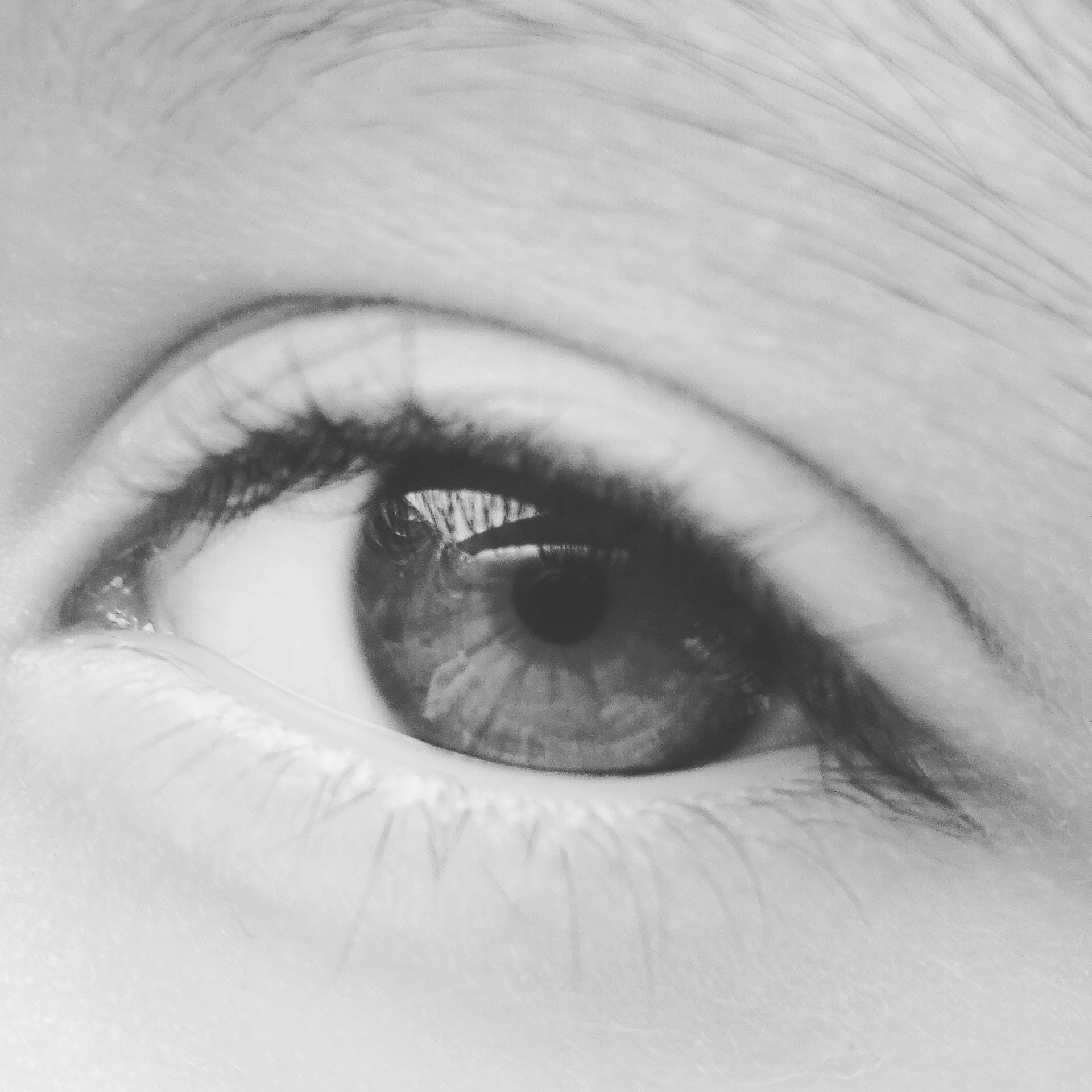 Free Unsplash photo from Nicolas Navarro