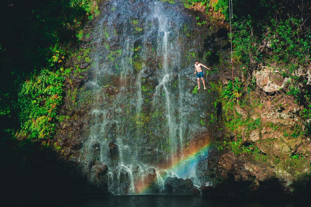 scenery of waterfalls with trees