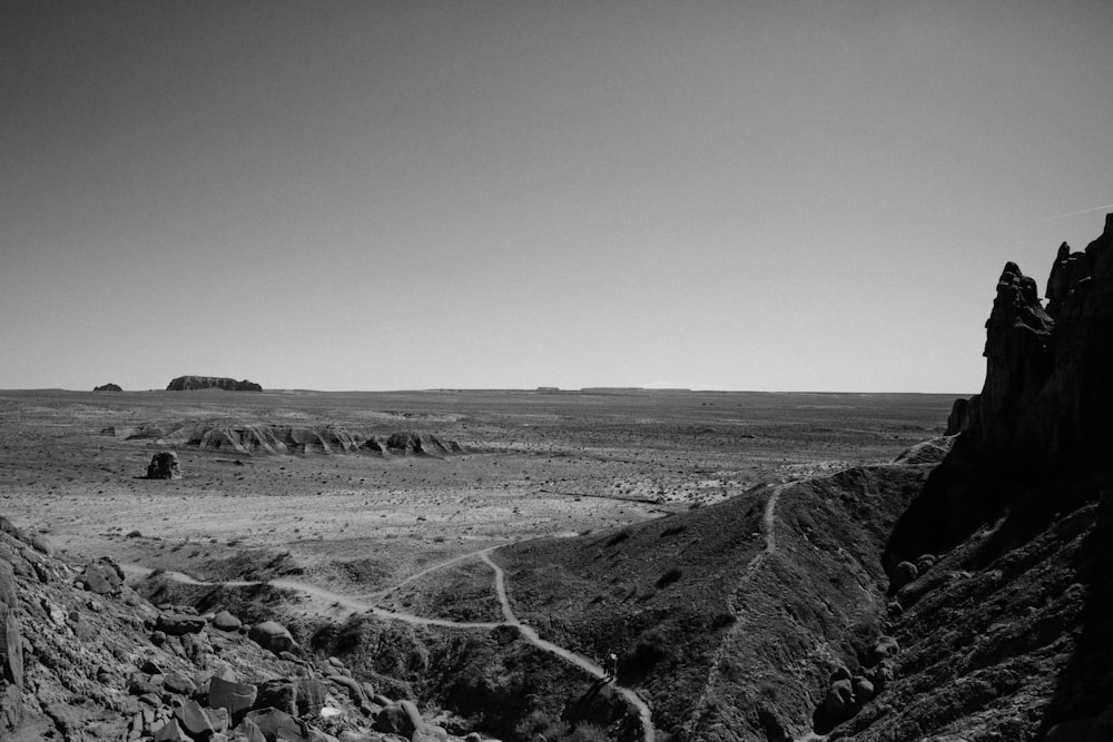 fotografia in scala di grigi del deserto