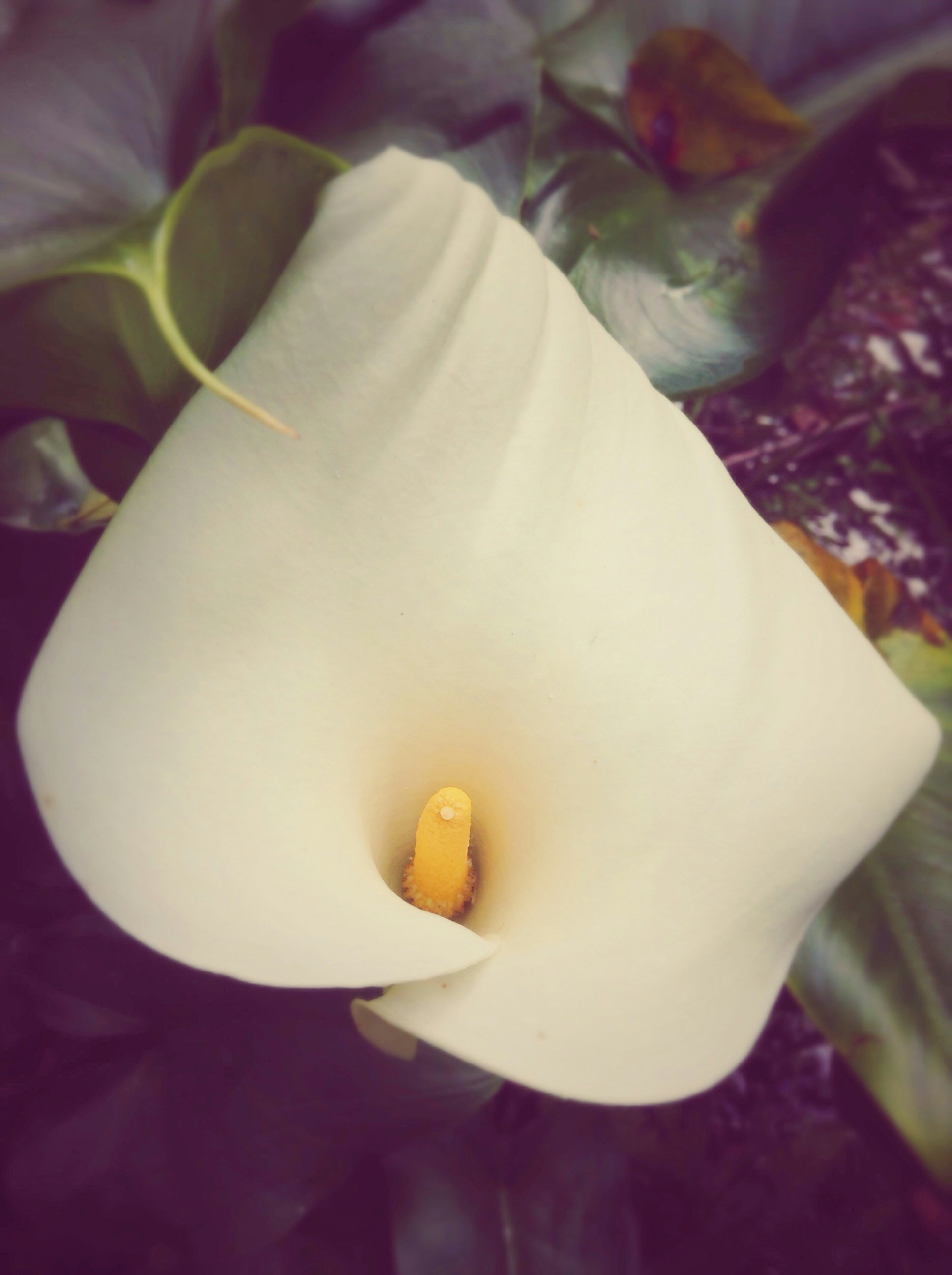 Free Unsplash photo from Gary Beale