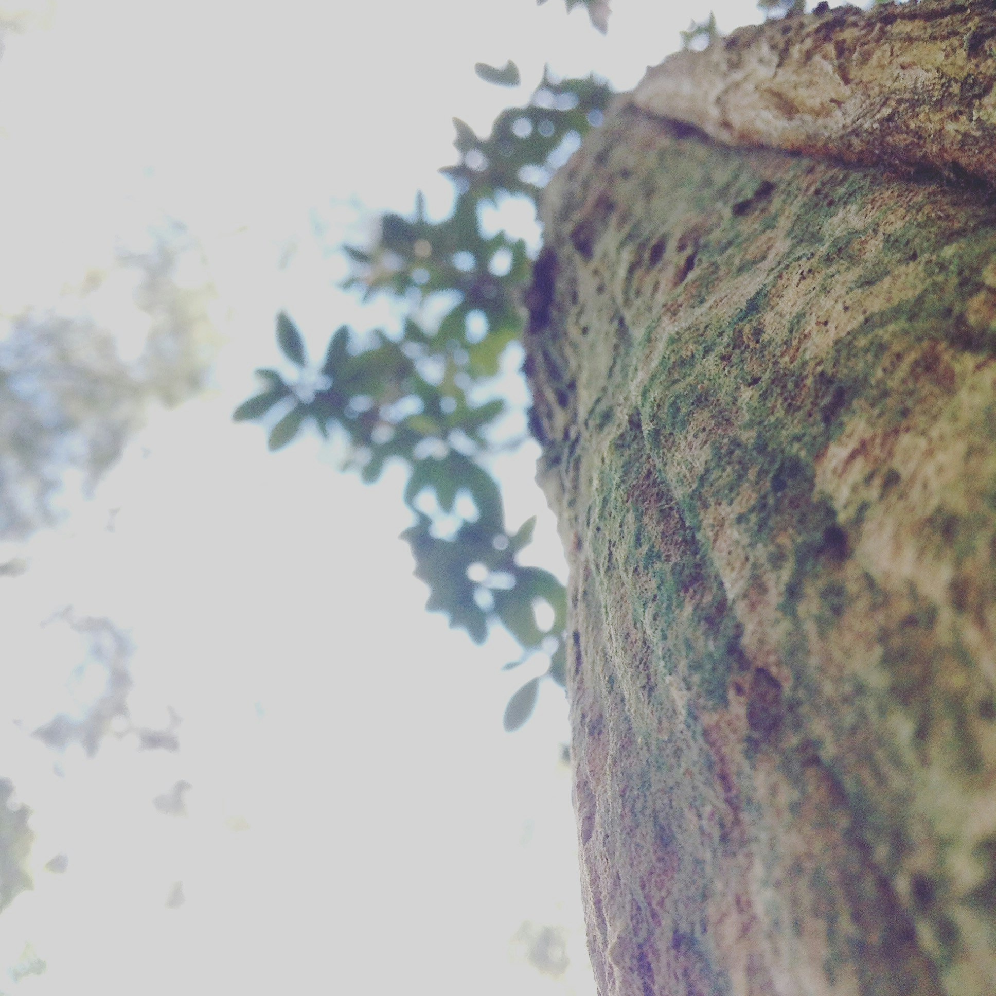 Free Unsplash photo from Gary Beale