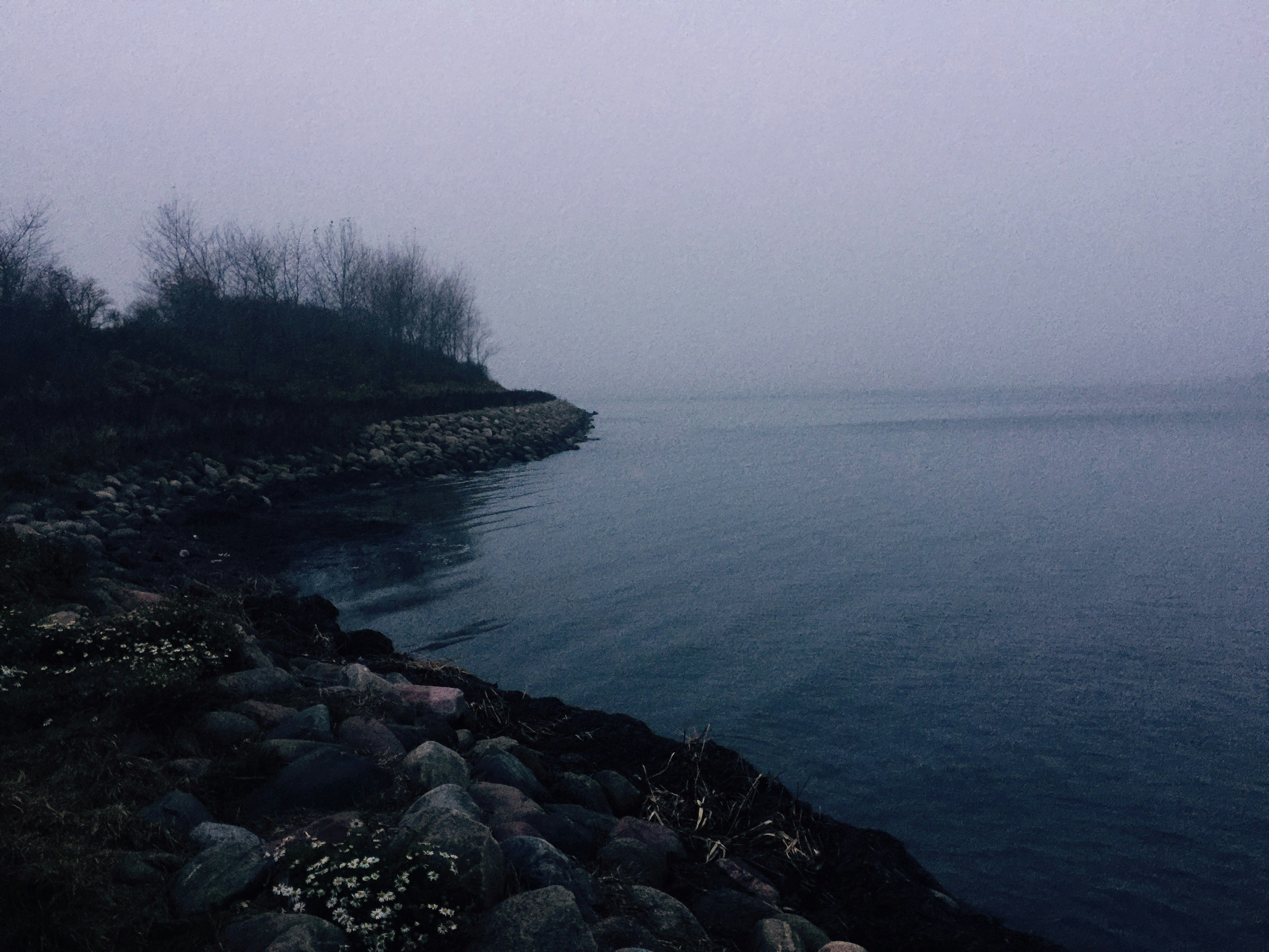 Free Unsplash photo from David Guiis