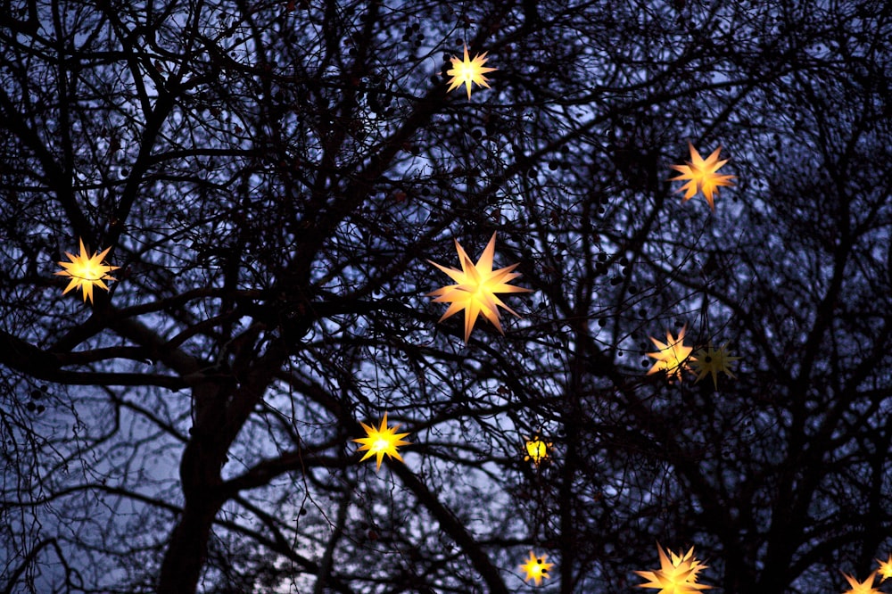 yellow pendant lights on tree