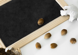 A small rectangular blackboard with a wooden frame is positioned on a light surface. Six brown acorns are scattered across the surface near the board. A white, textured leaf adorns the top right corner, adding an element of contrast.