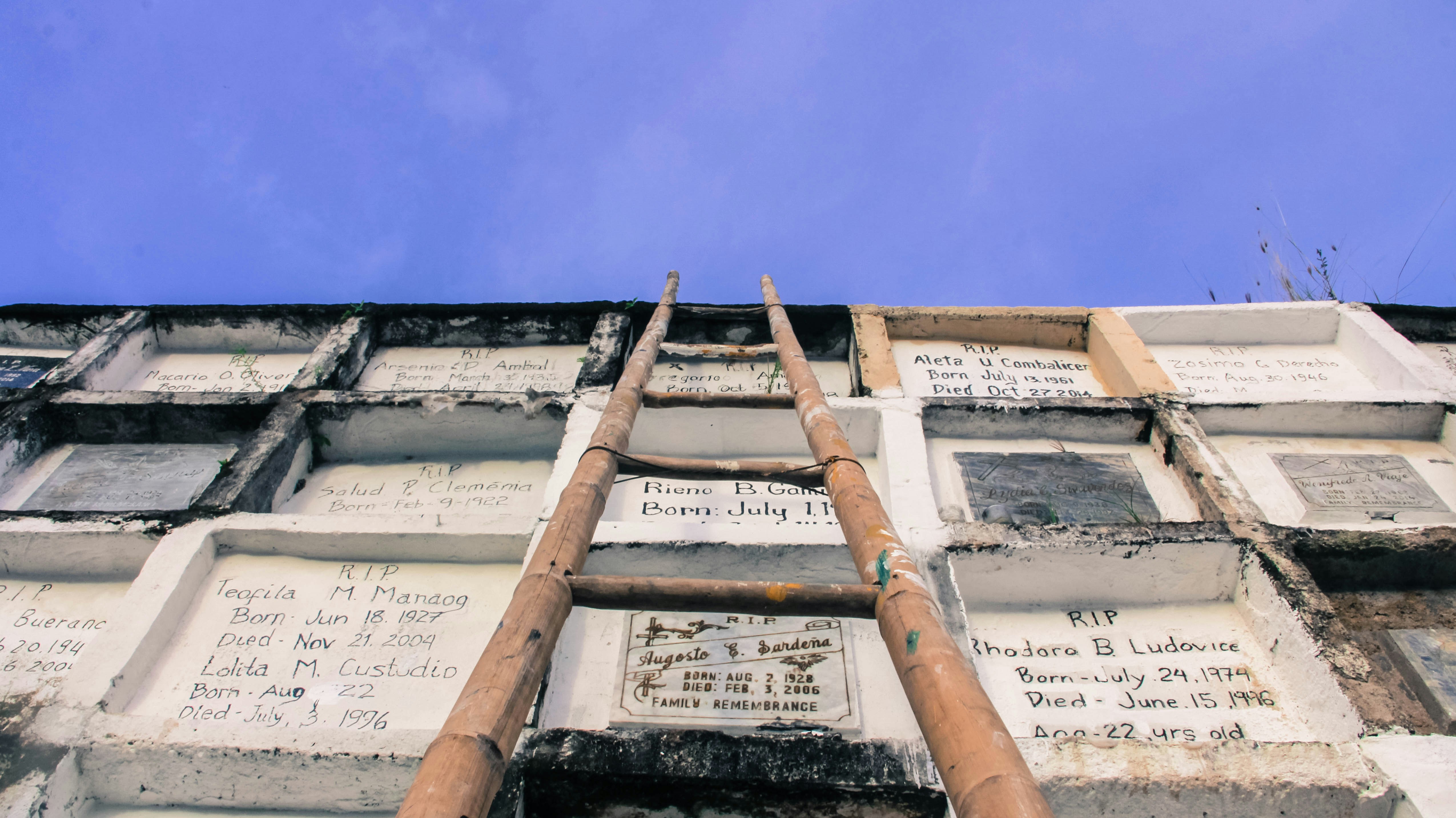 Free Unsplash photo from Christine Wanderstate