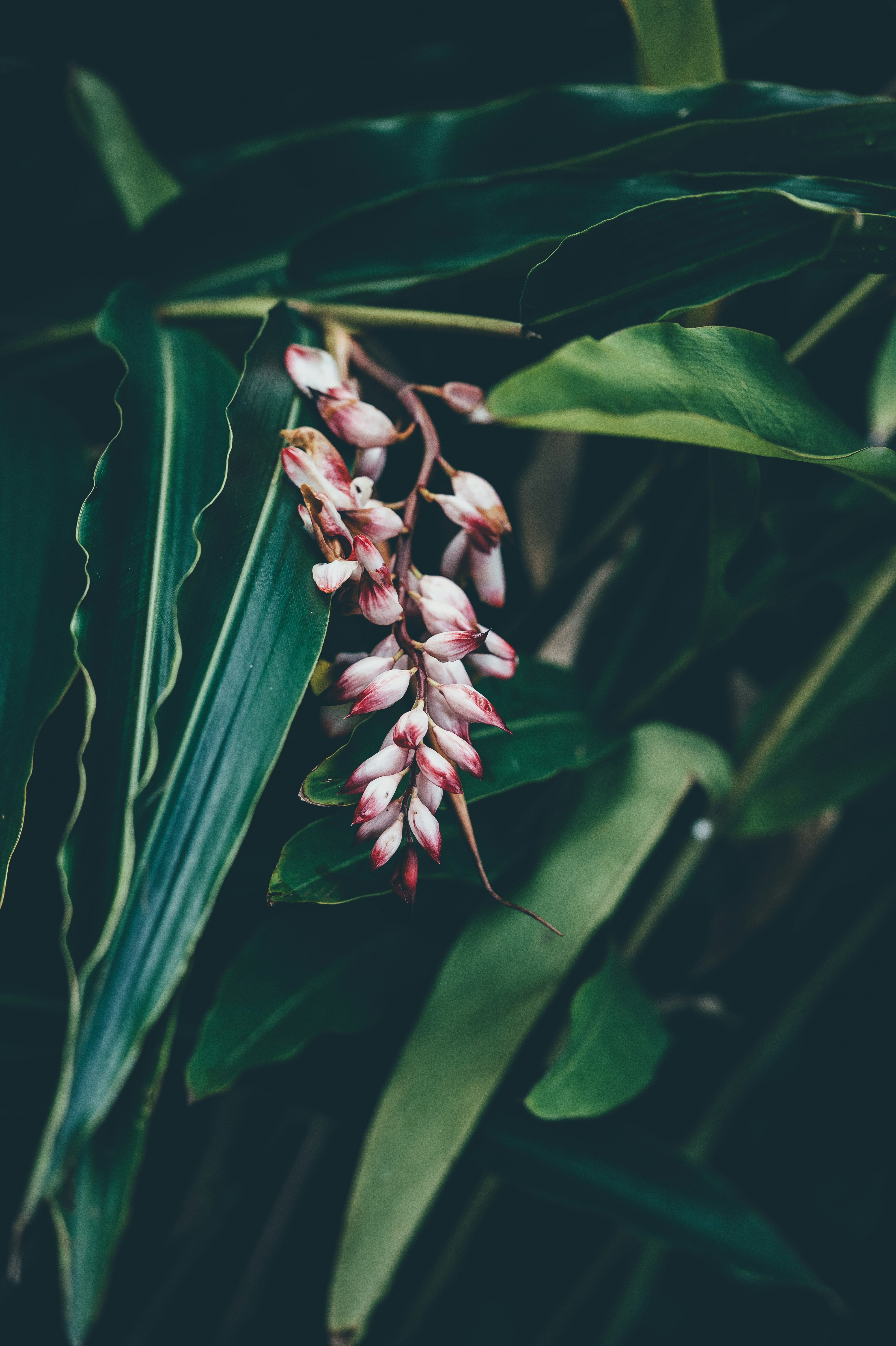 Free Unsplash photo from Annie Spratt
