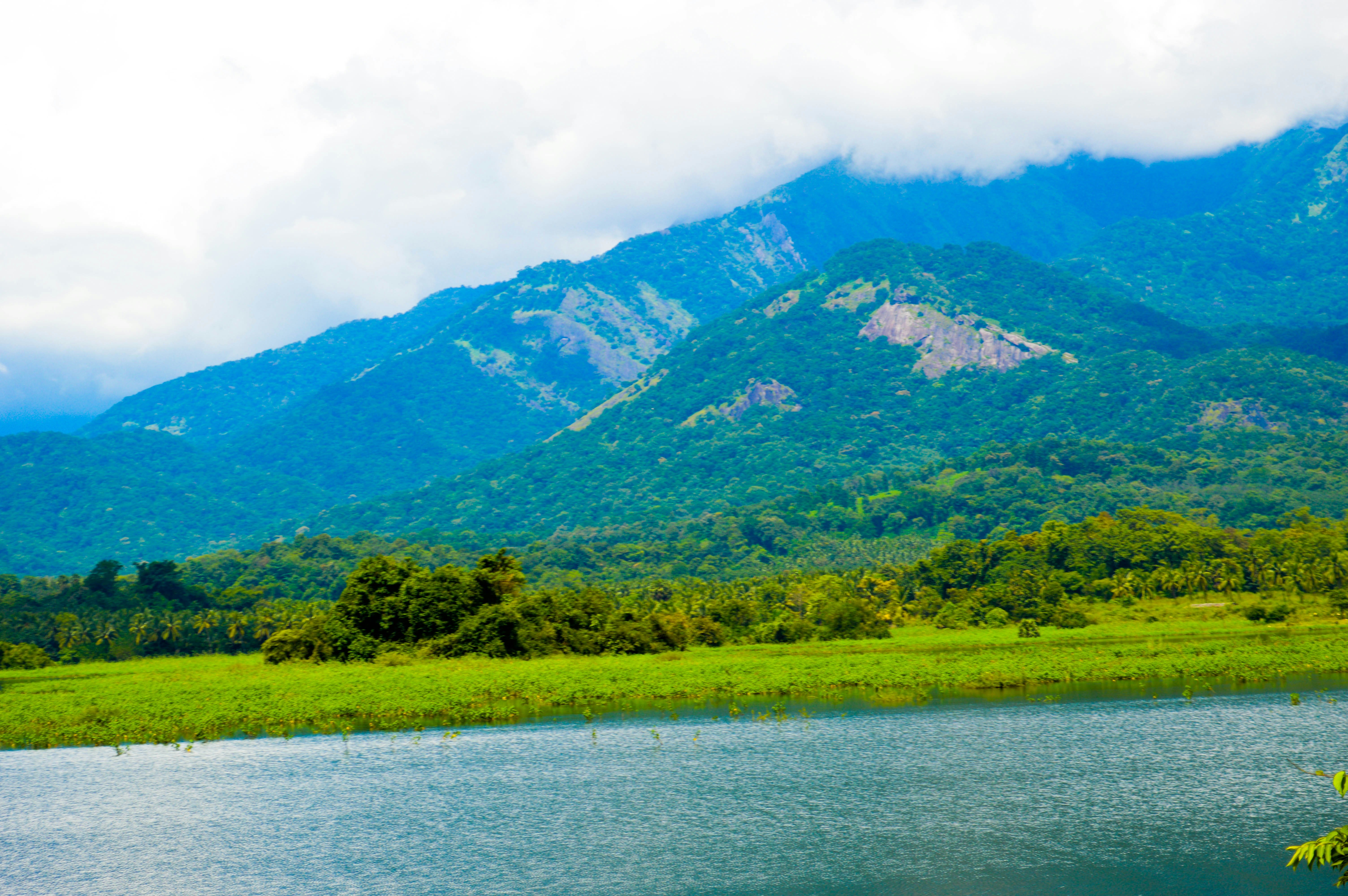 Free Unsplash photo from Priyanka Viswanath