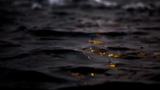 Calm water surface reflecting soft golden light with a subtle white mist.