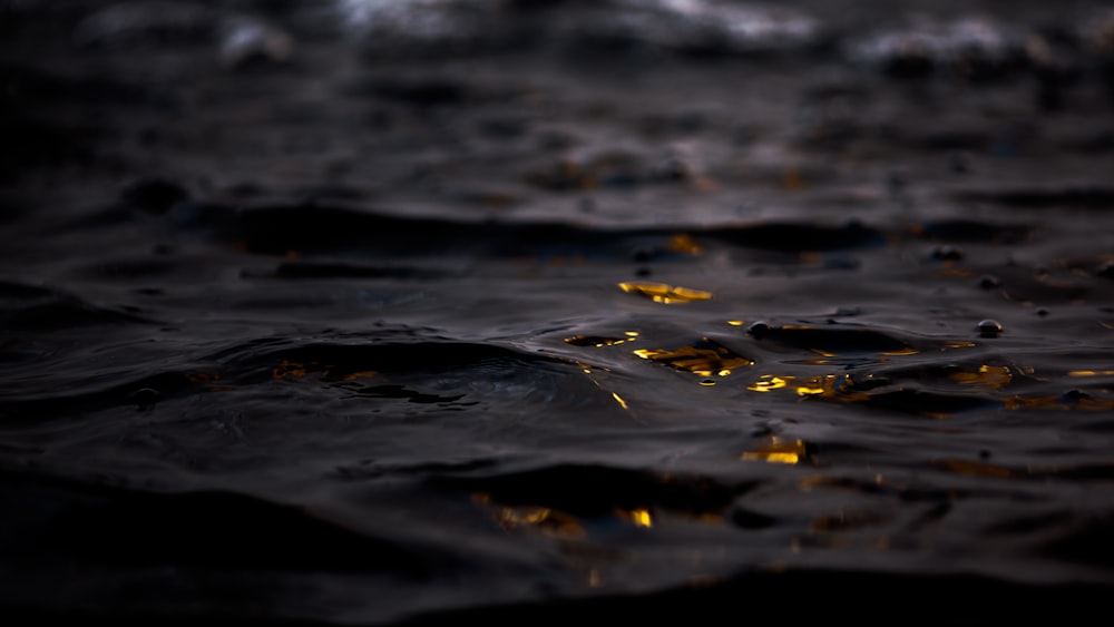 Black And Gold Pictures  Download Free Images on Unsplash