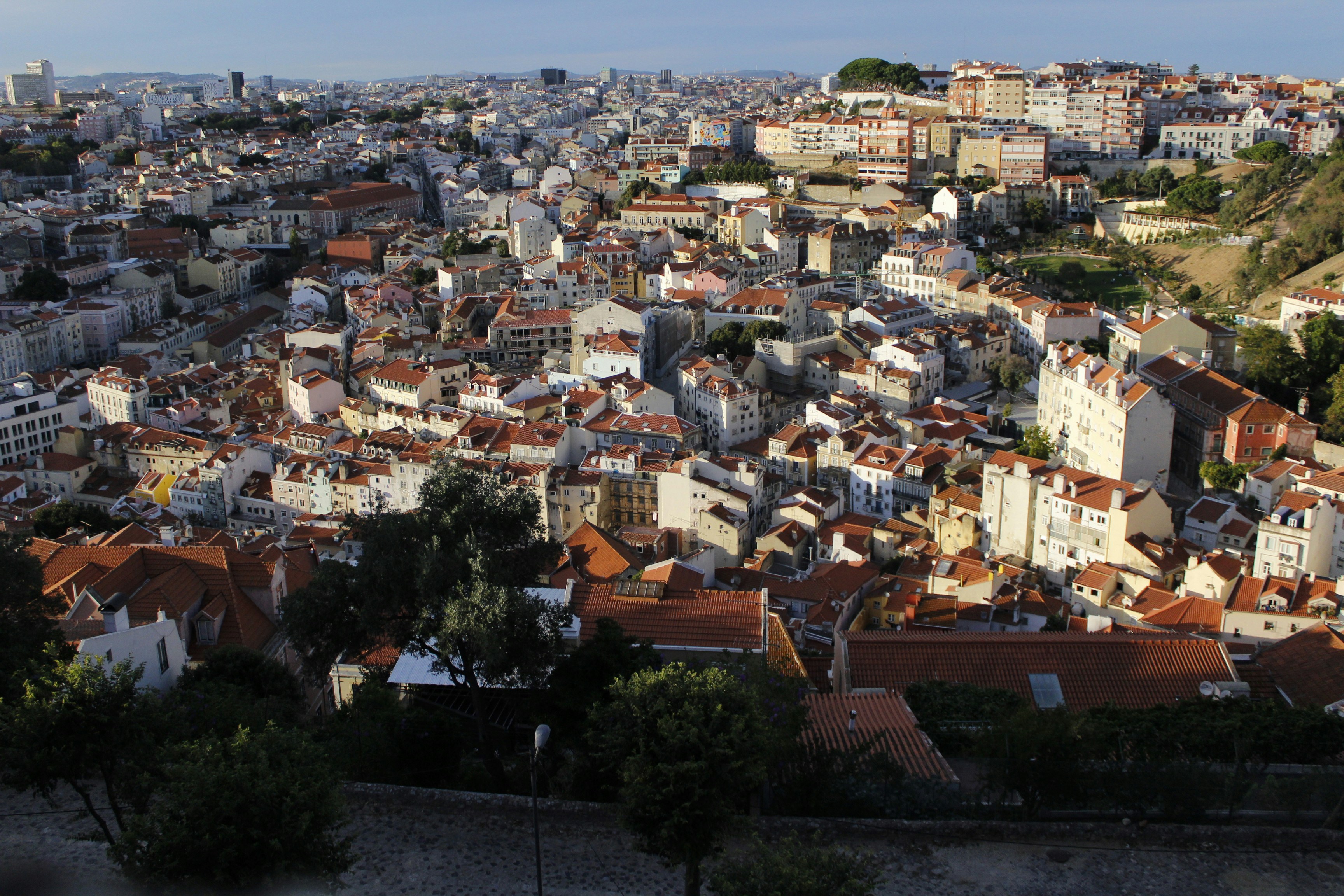 Free Unsplash photo from Phillip Eguchi