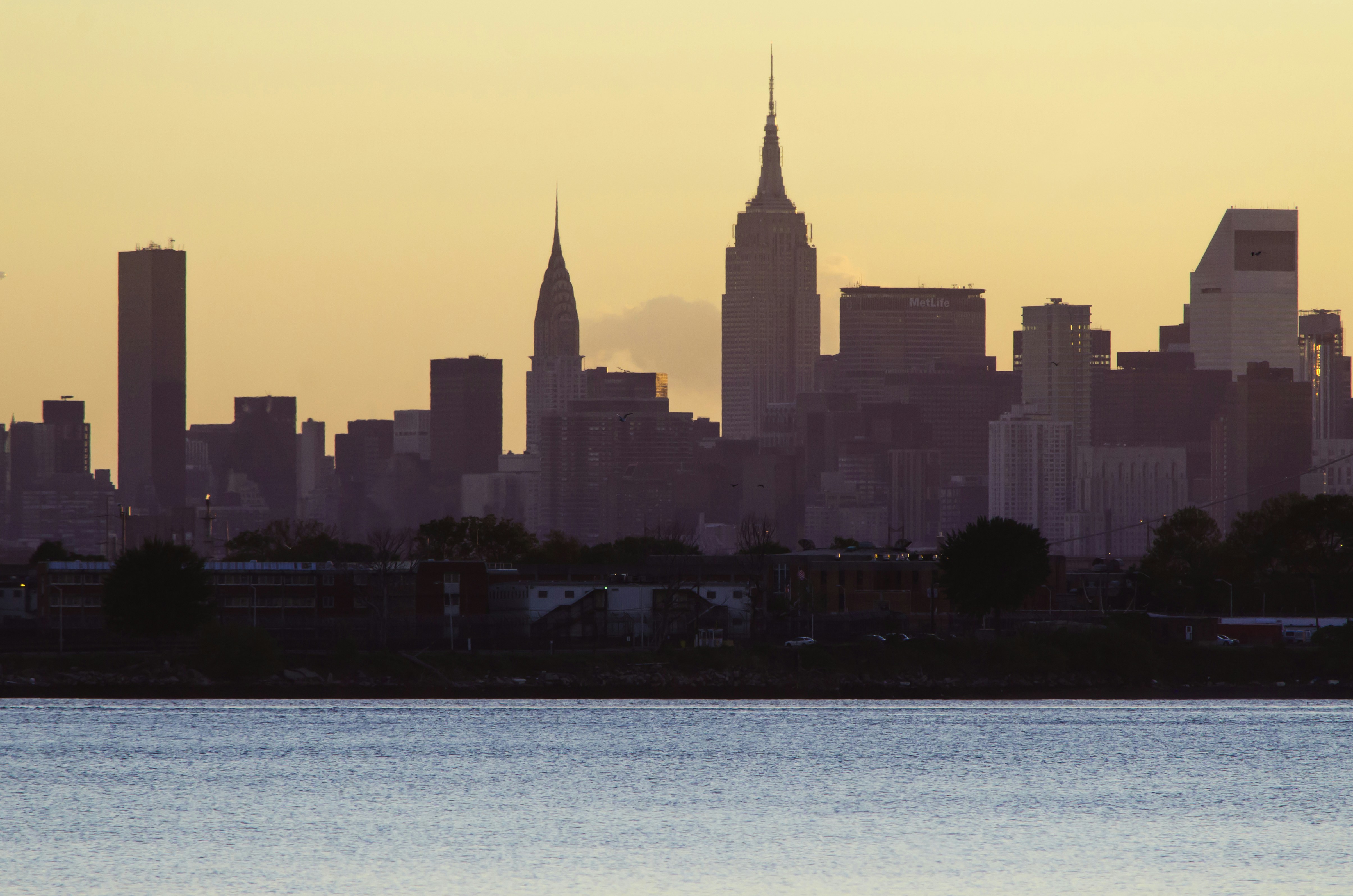 Free Unsplash photo from Roman Feliz