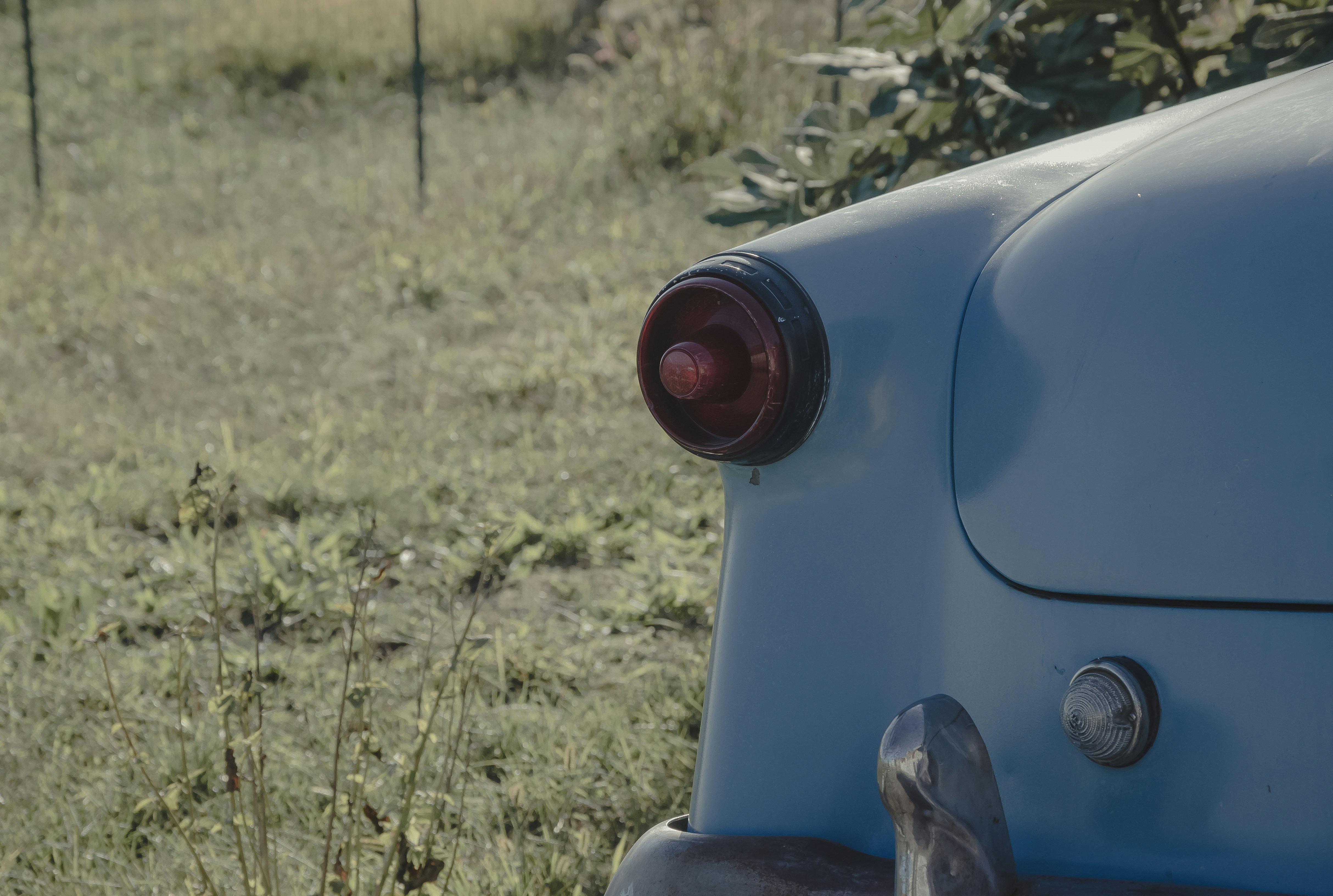 Free Unsplash photo from Roman Feliz