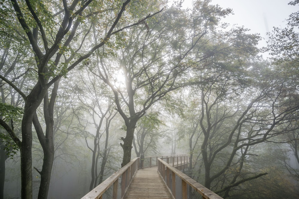 Puente de madera marrón