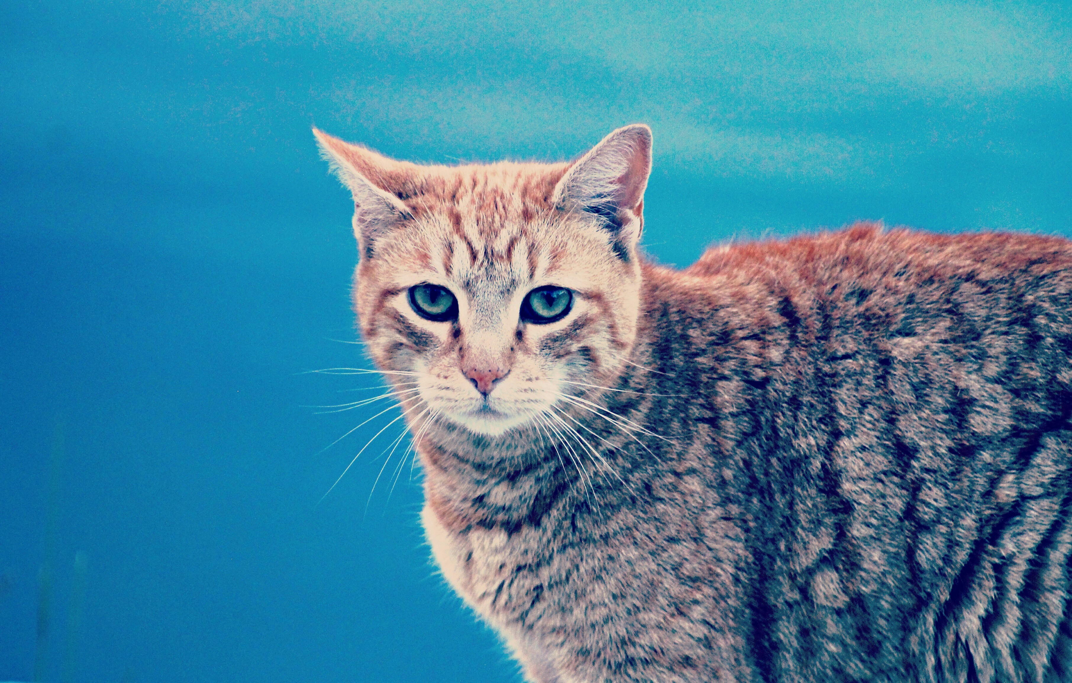 Free Unsplash photo from Andrew Walton